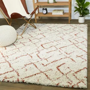 Albini Abstract Shag Area Rug