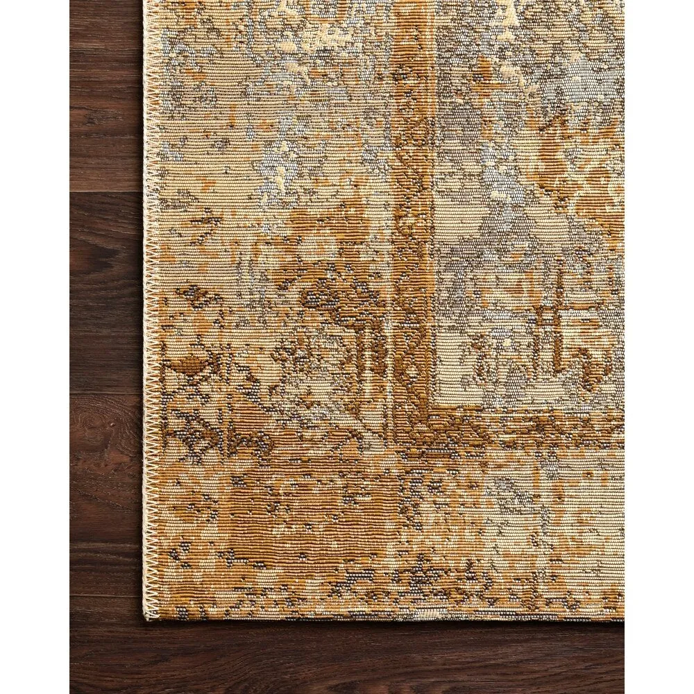 Alexander Home Armanda Modern Distressed Indoor/ Outdoor Area Rug