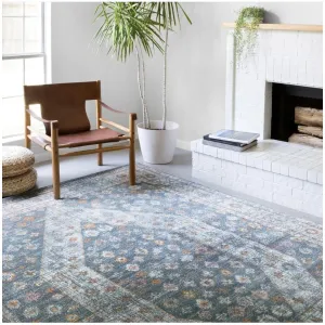 Alexander Home Jennifer Collection Bohemian Diamond Distressed Area Rug