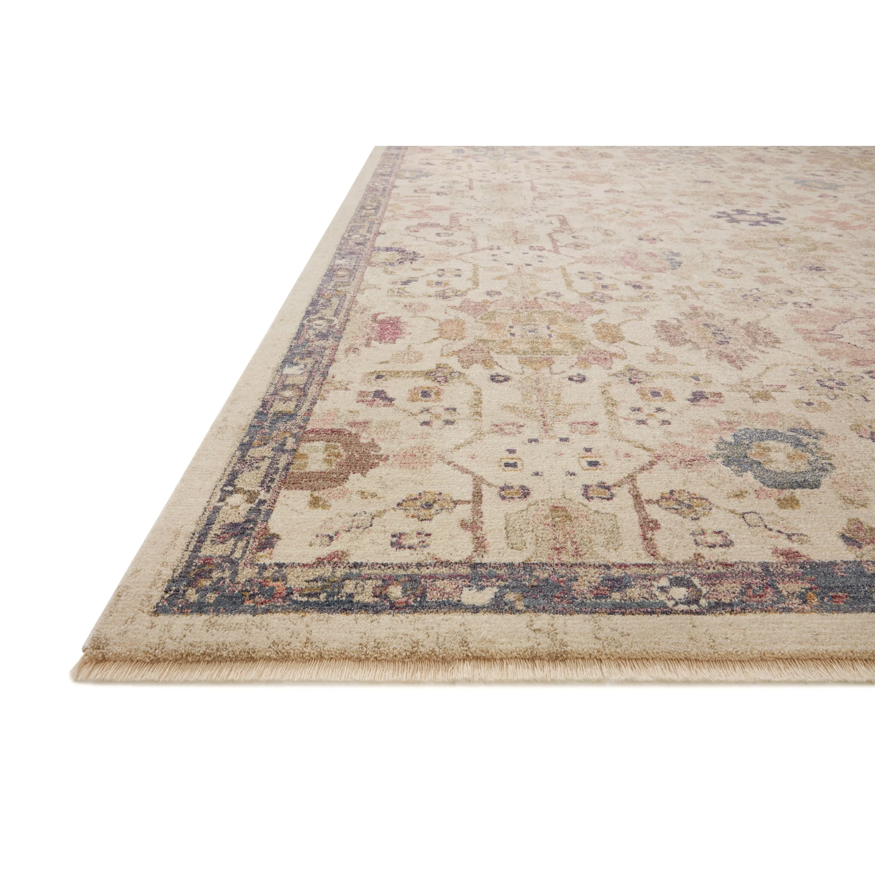 Alexander Home Jewel Shabby-Chic Oriental Area Rug