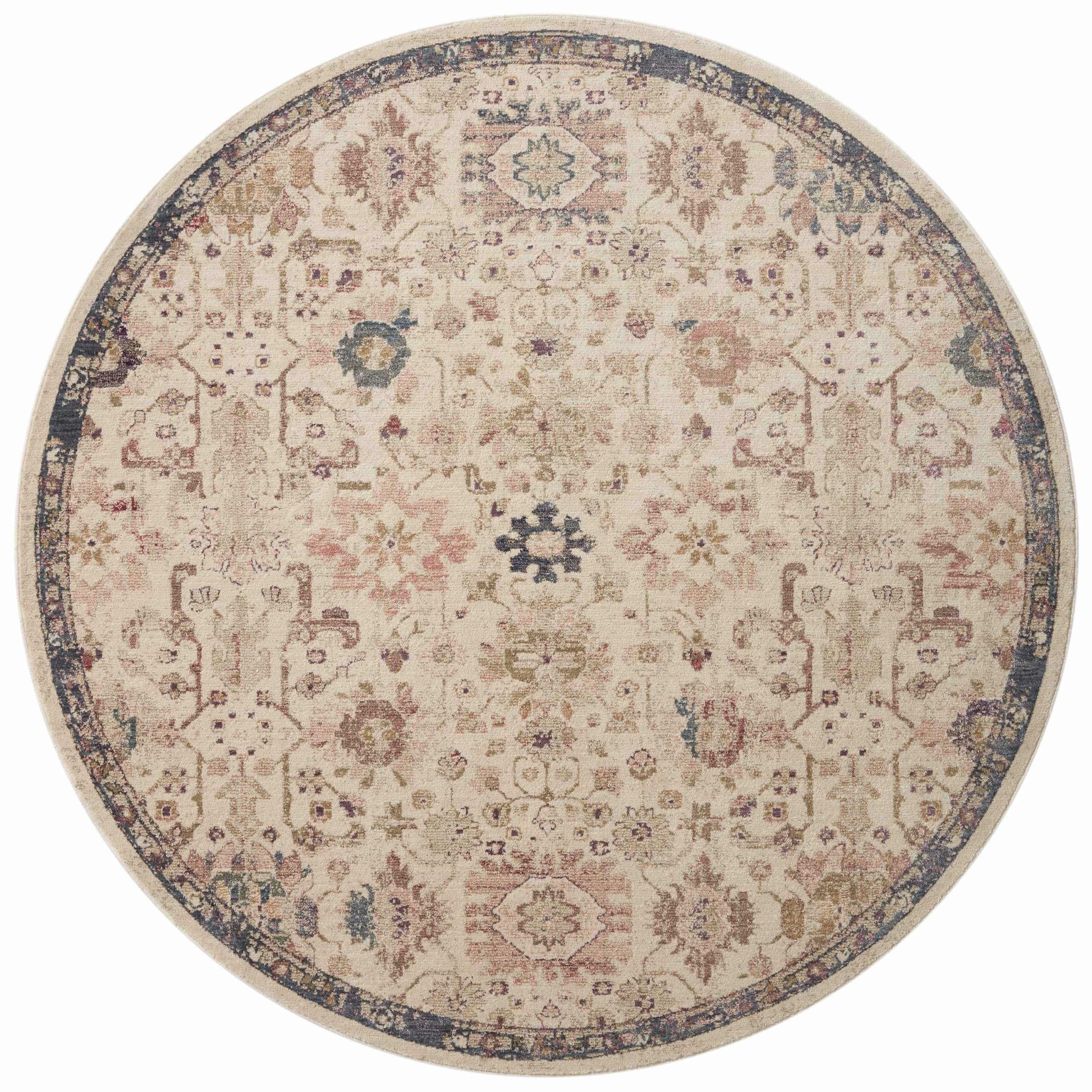 Alexander Home Jewel Shabby-Chic Oriental Area Rug