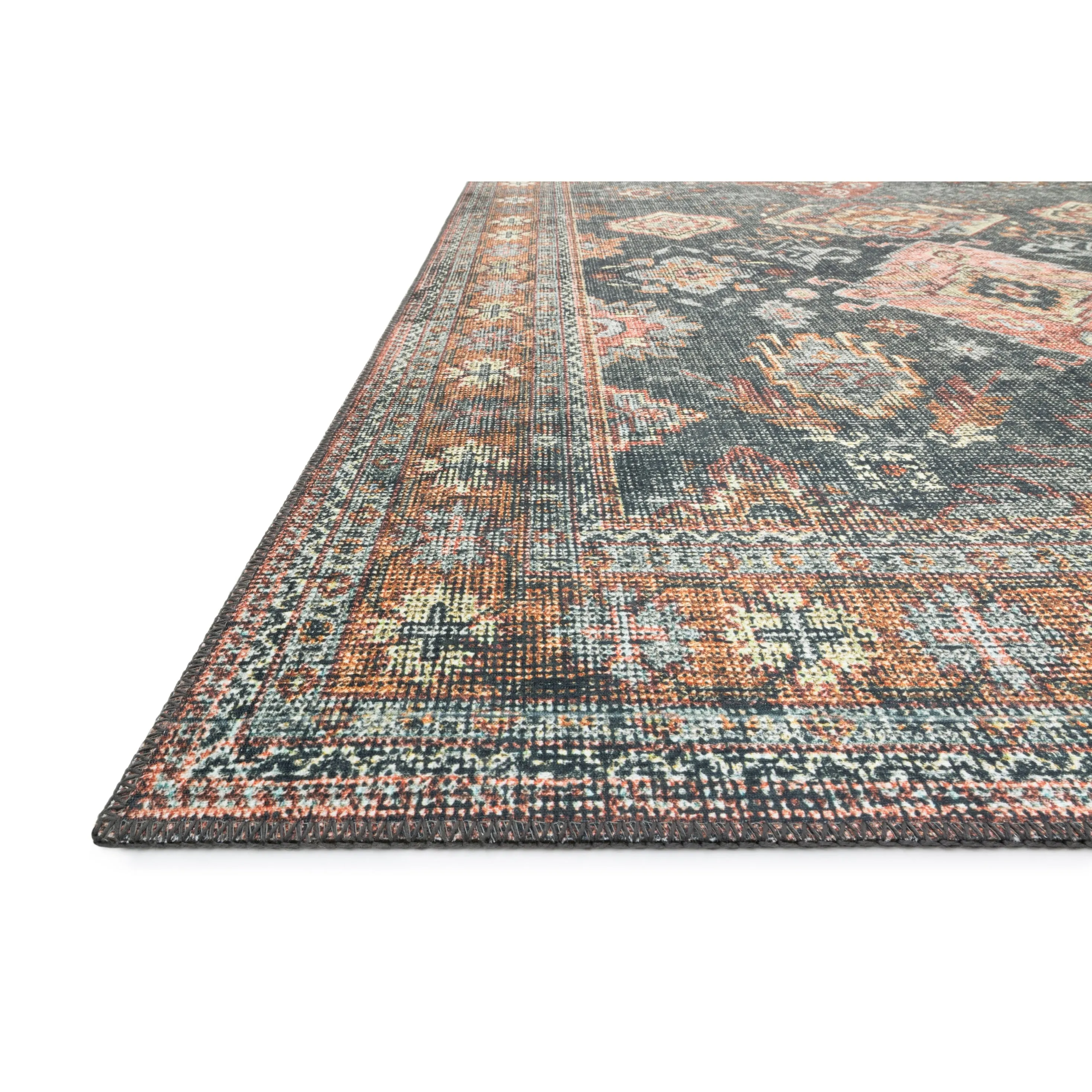 Alexander Home Leanne Traditional Distressed Printed Area Rug
