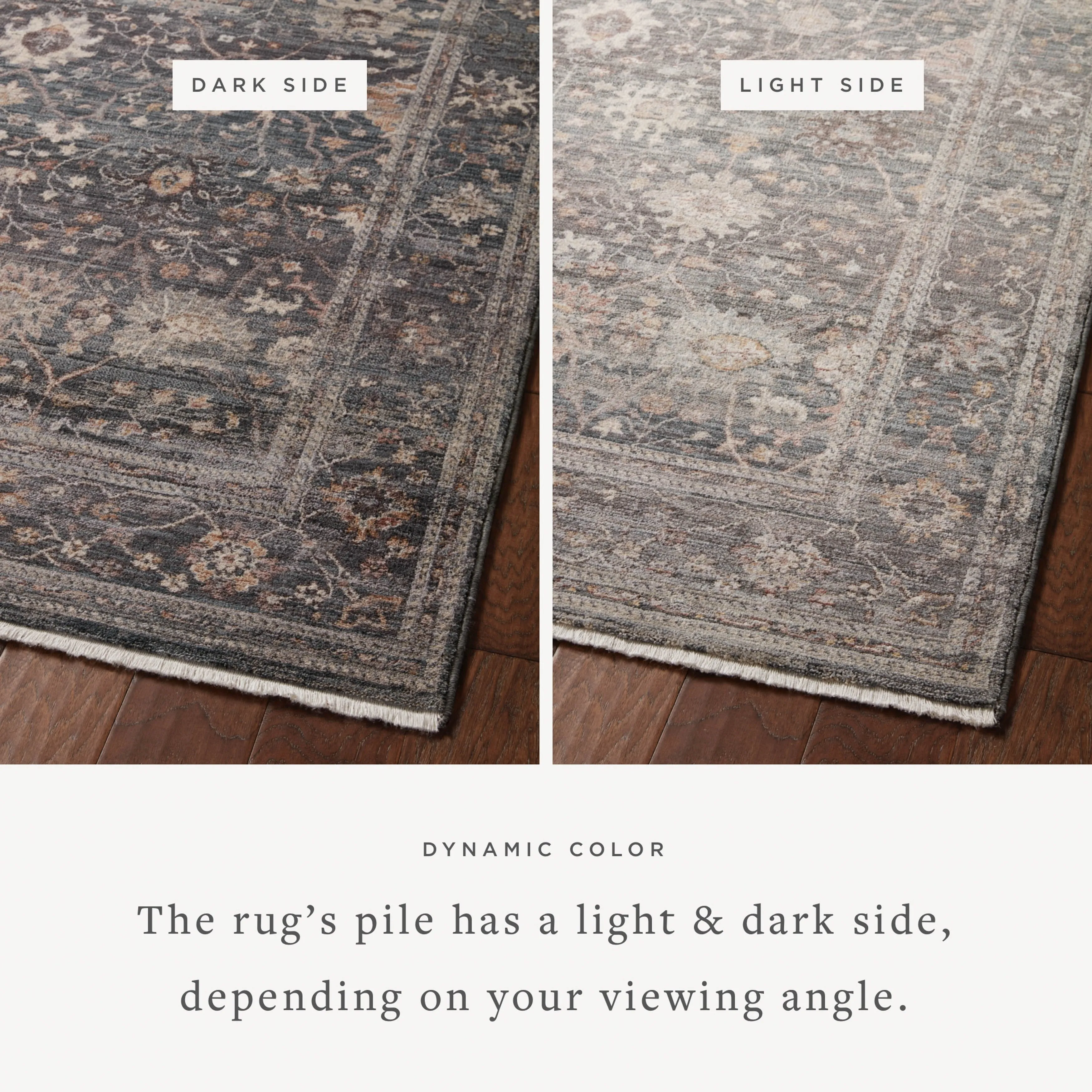Alexander Home Lynda Vintage Botanical & Floral Area Rug