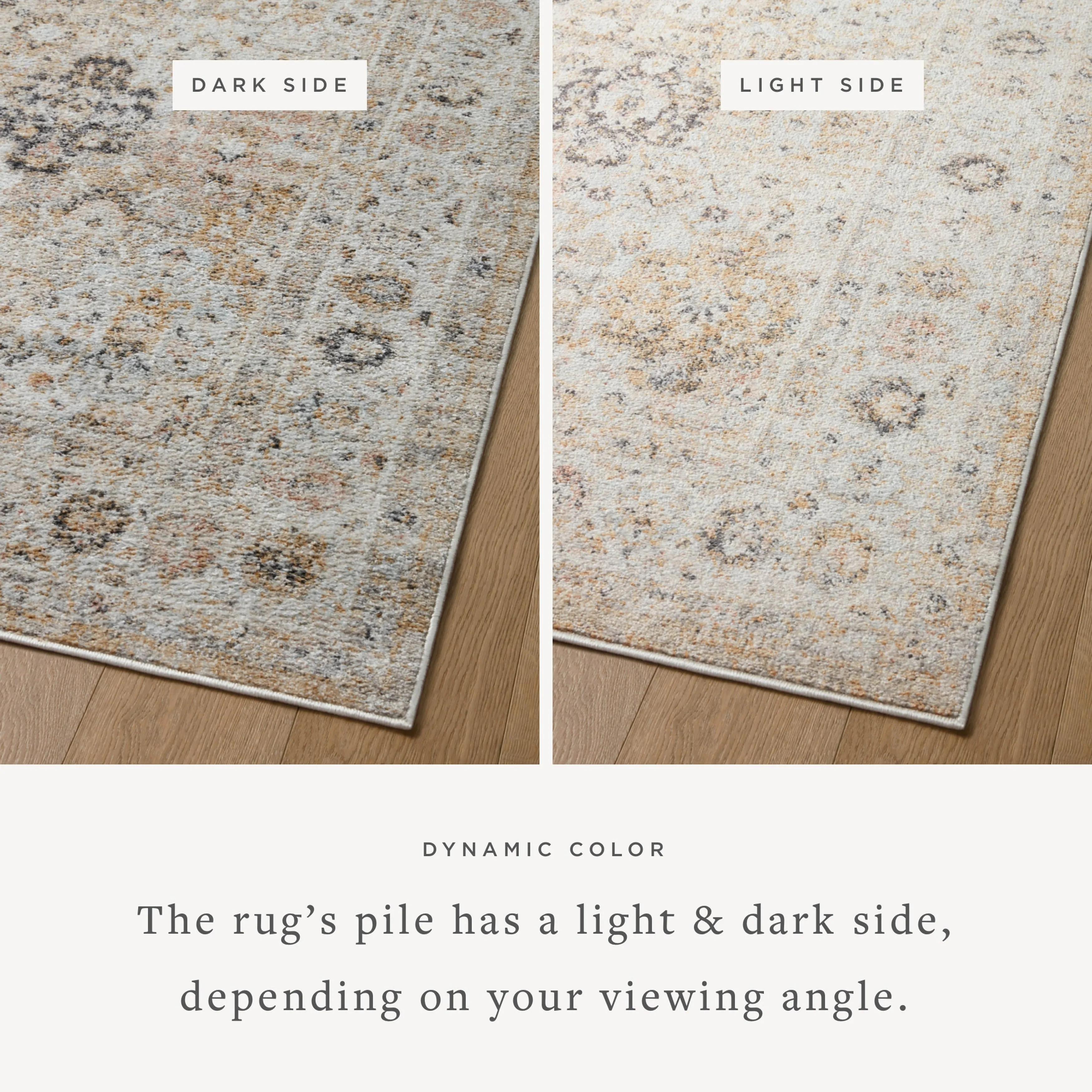 Alexander Home Marilyn Botanical Persian Area Rug