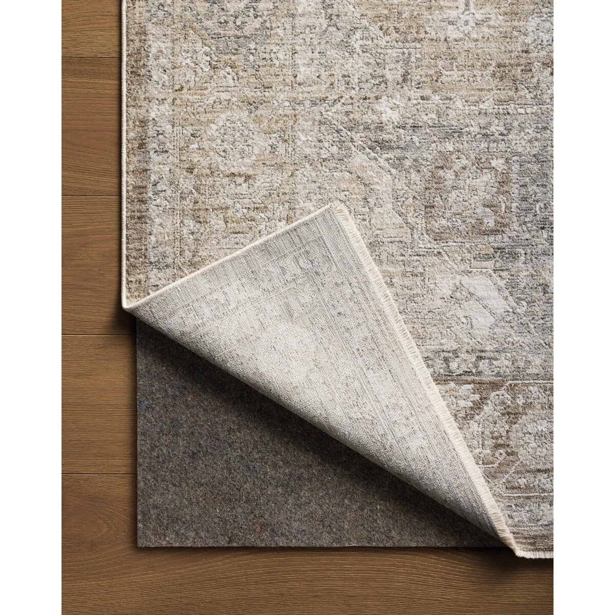Alexander Home Tamara Medallion & Botanical Area Rug