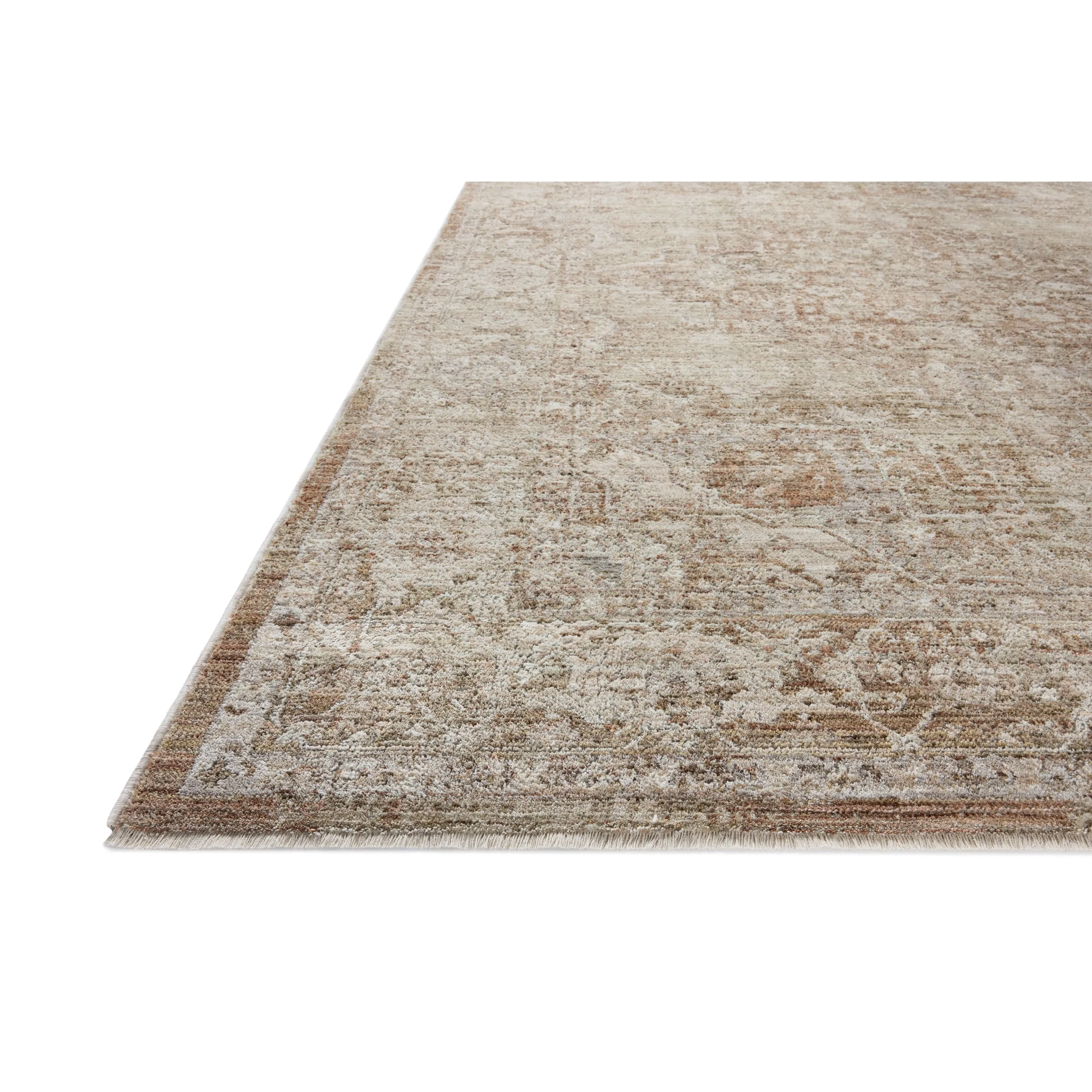 Alexander Home Tamara Medallion & Botanical Area Rug