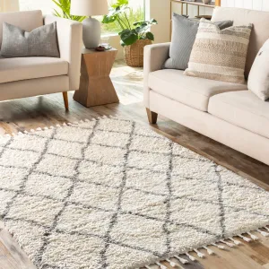 Artistic Weavers Appleby Diamond Boho Area Rug