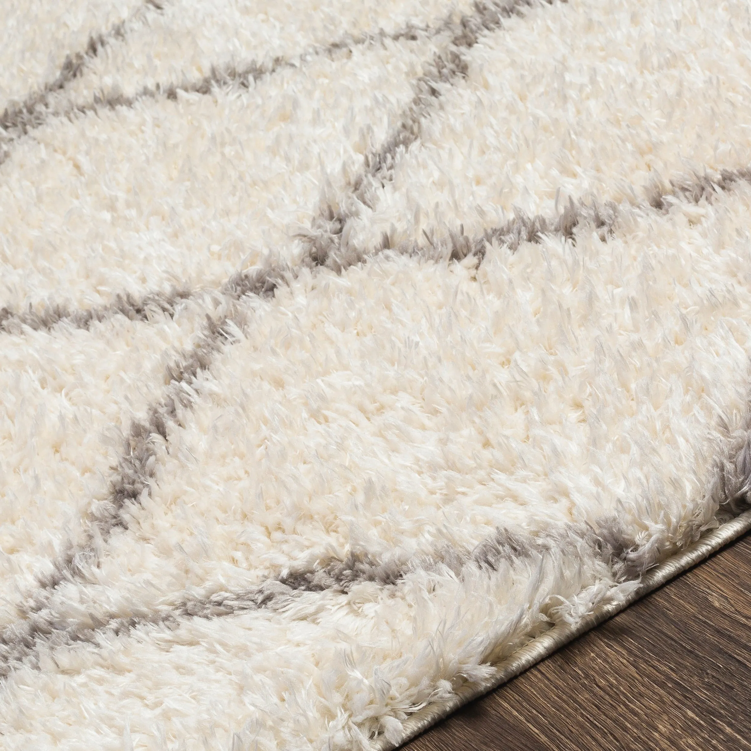 Artistic Weavers Appleby Diamond Boho Area Rug