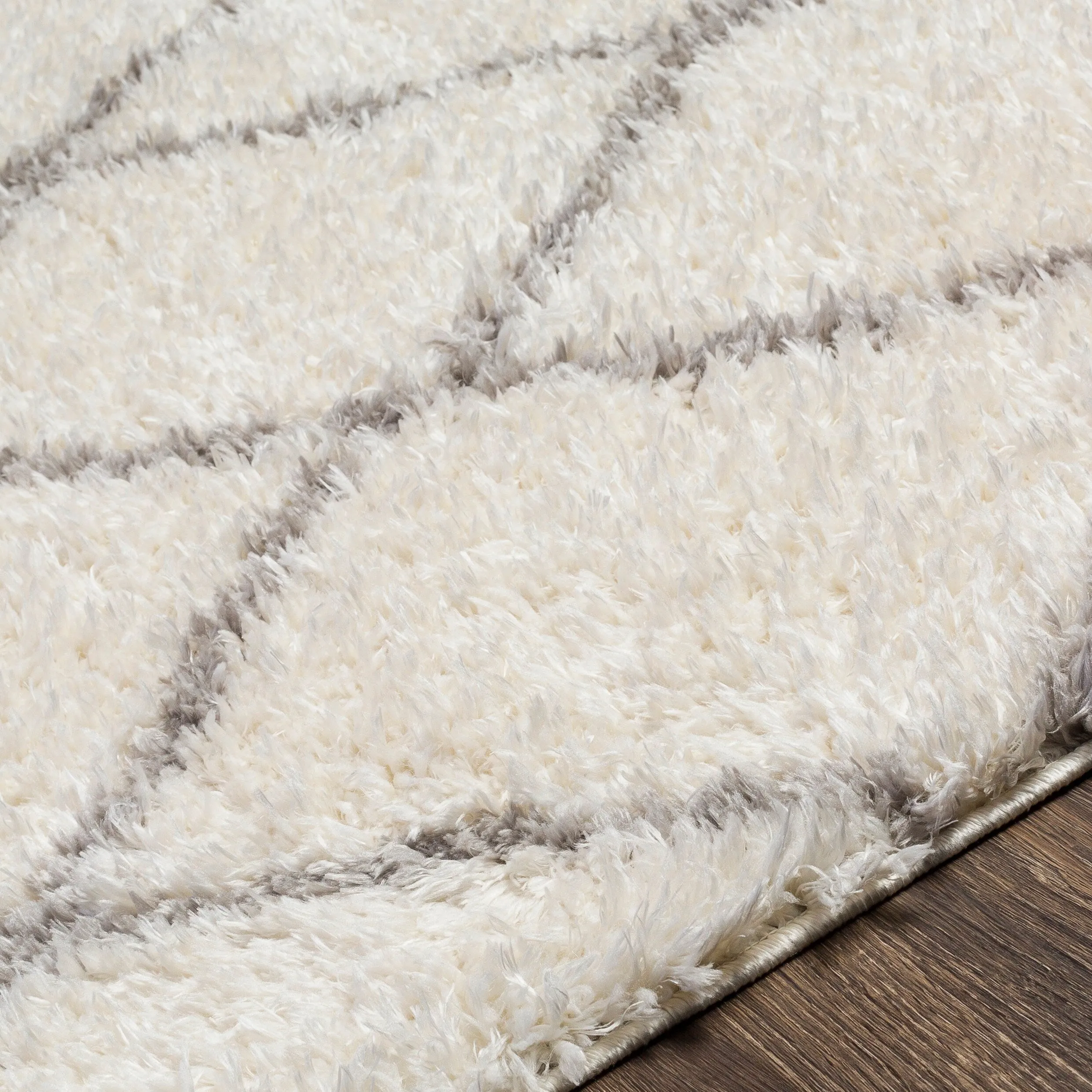 Artistic Weavers Appleby Diamond Boho Area Rug