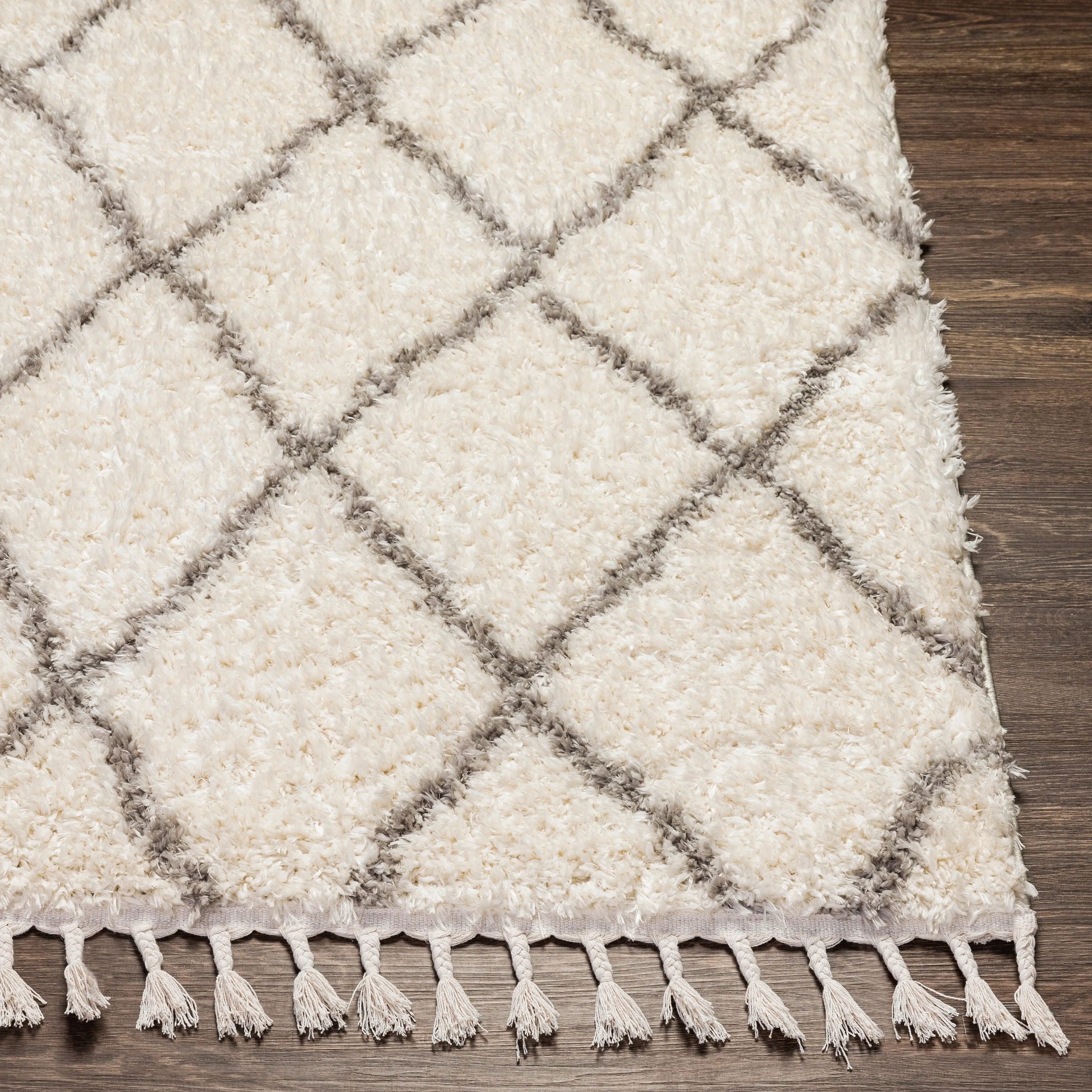 Artistic Weavers Appleby Diamond Boho Area Rug
