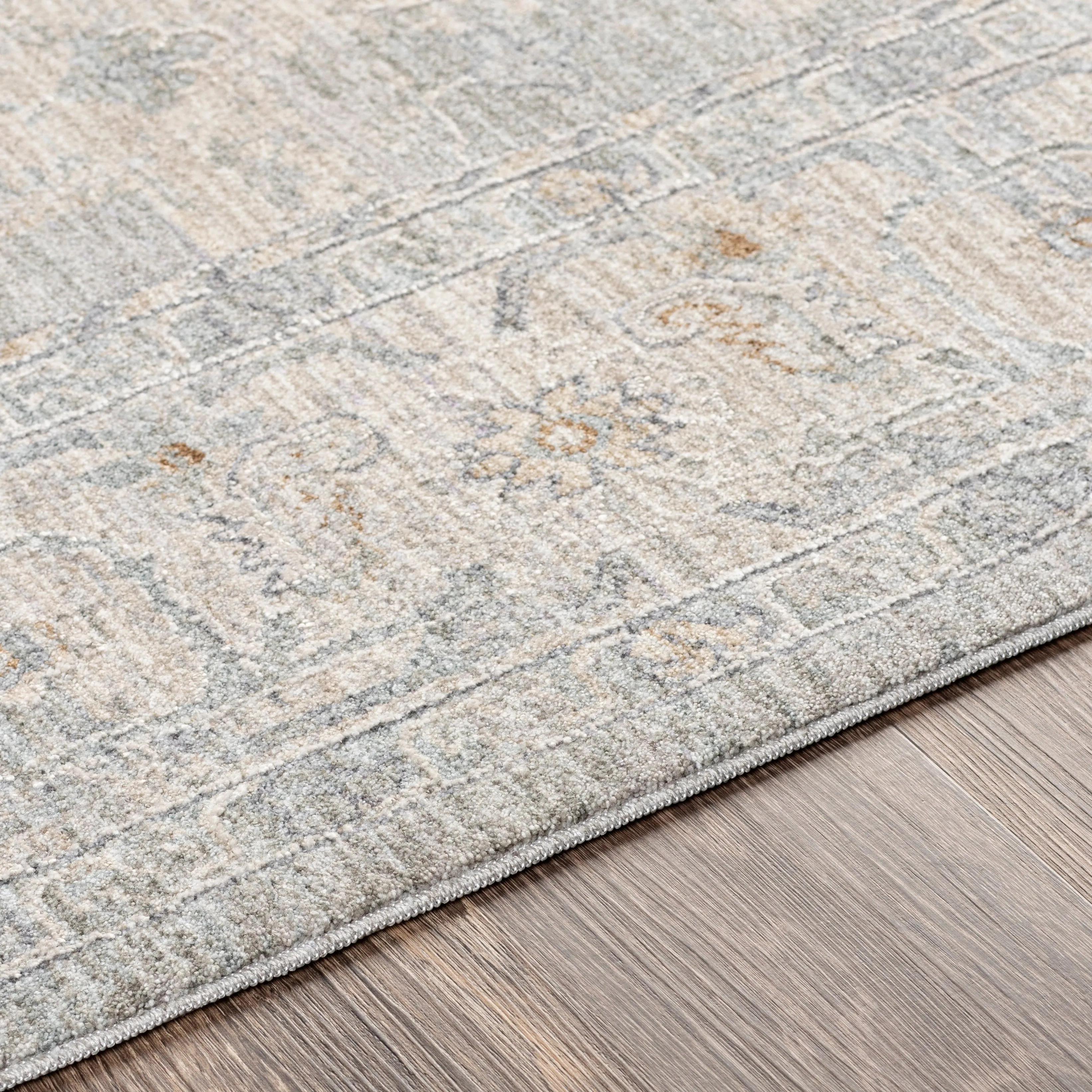 Artistic Weavers Rian Classic Medallion Area Rug