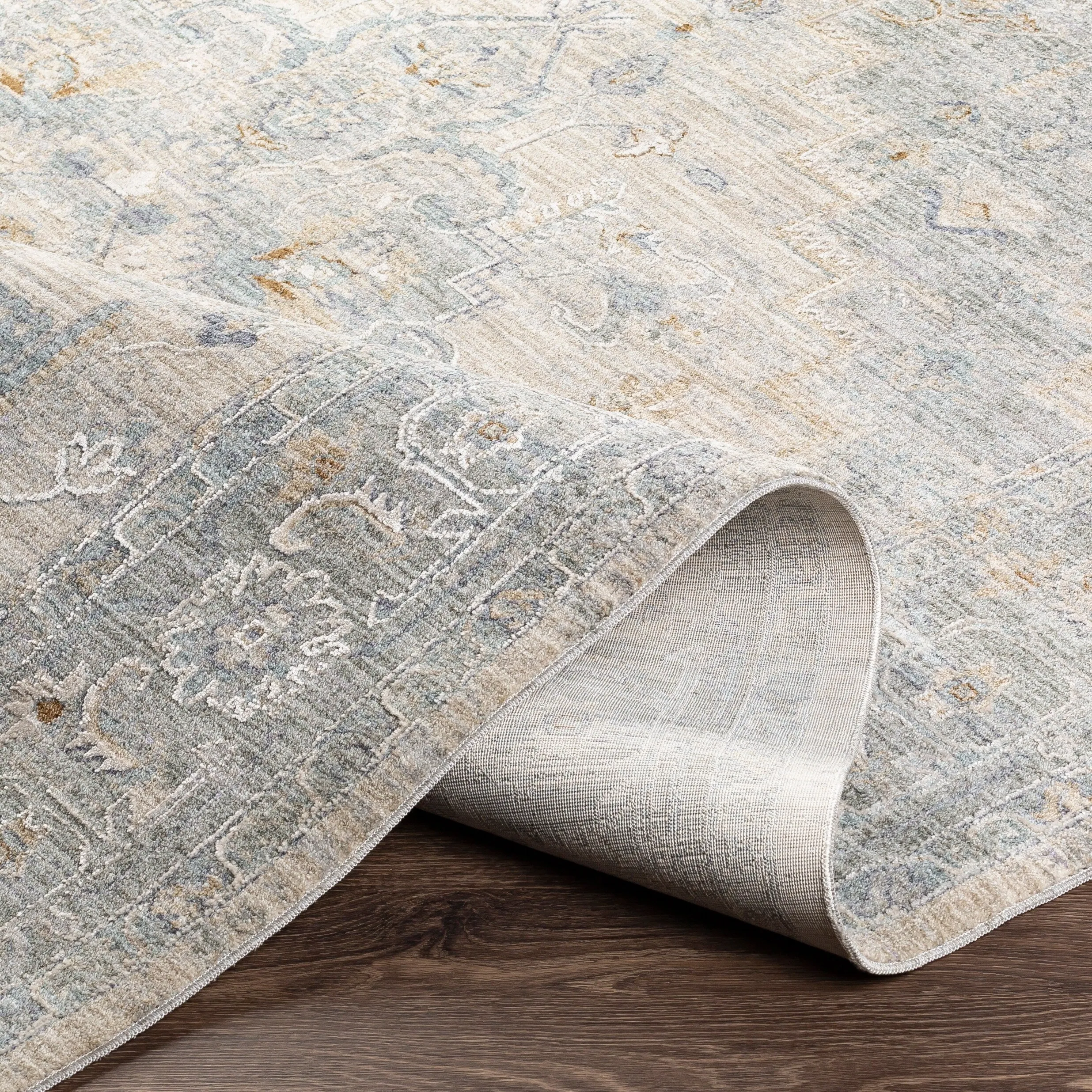 Artistic Weavers Rian Classic Medallion Area Rug