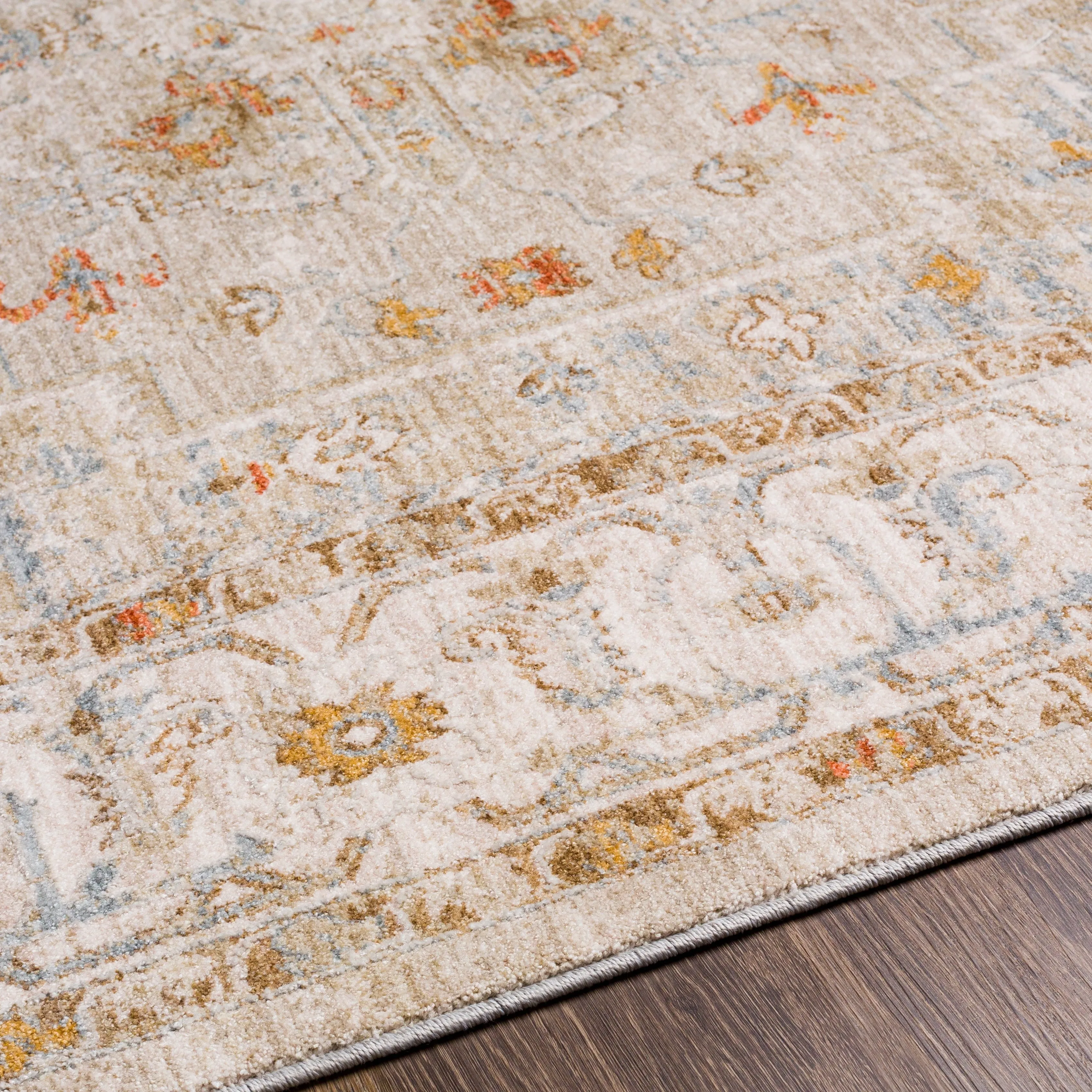 Artistic Weavers Rian Classic Medallion Area Rug