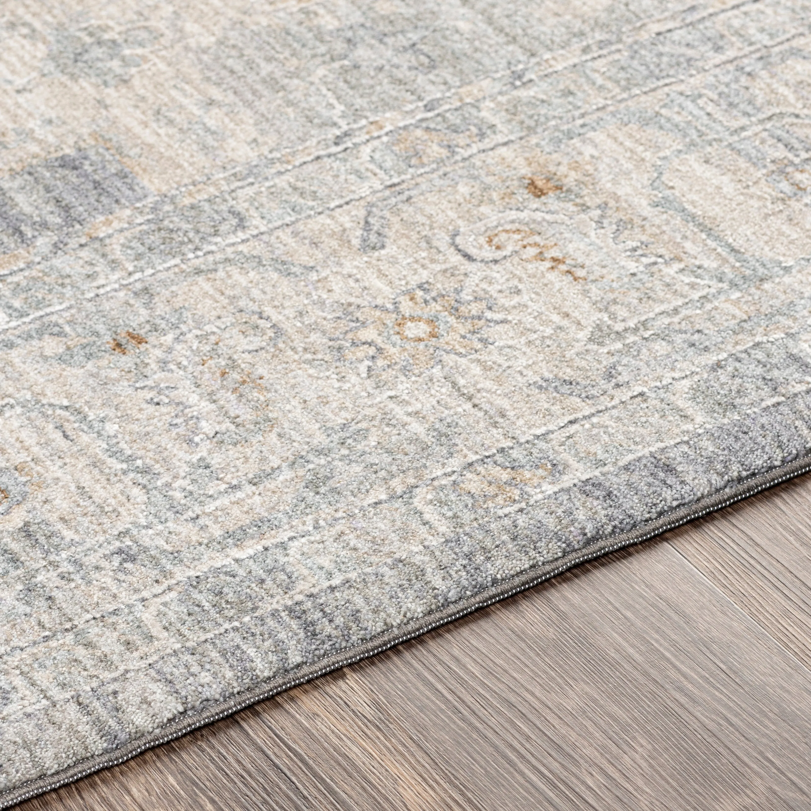 Artistic Weavers Rian Classic Medallion Area Rug