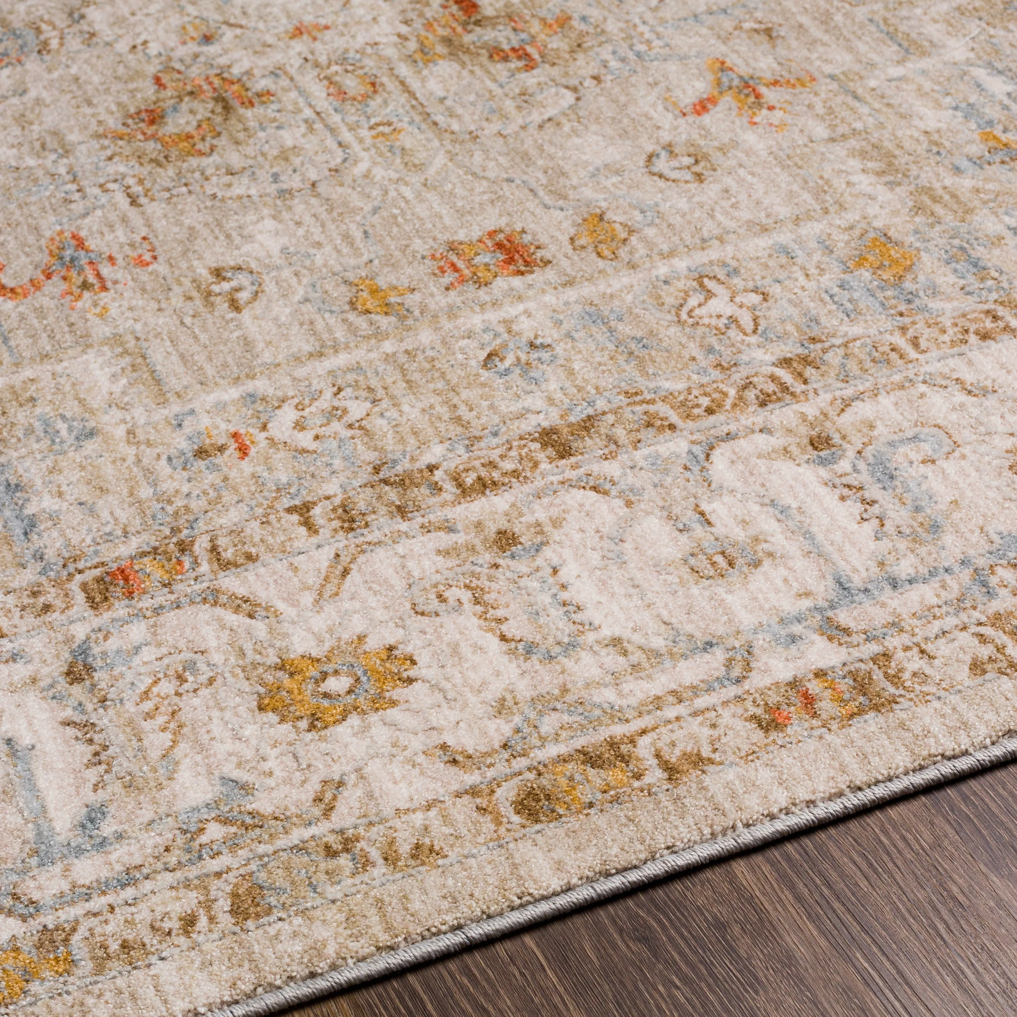 Artistic Weavers Rian Classic Medallion Area Rug