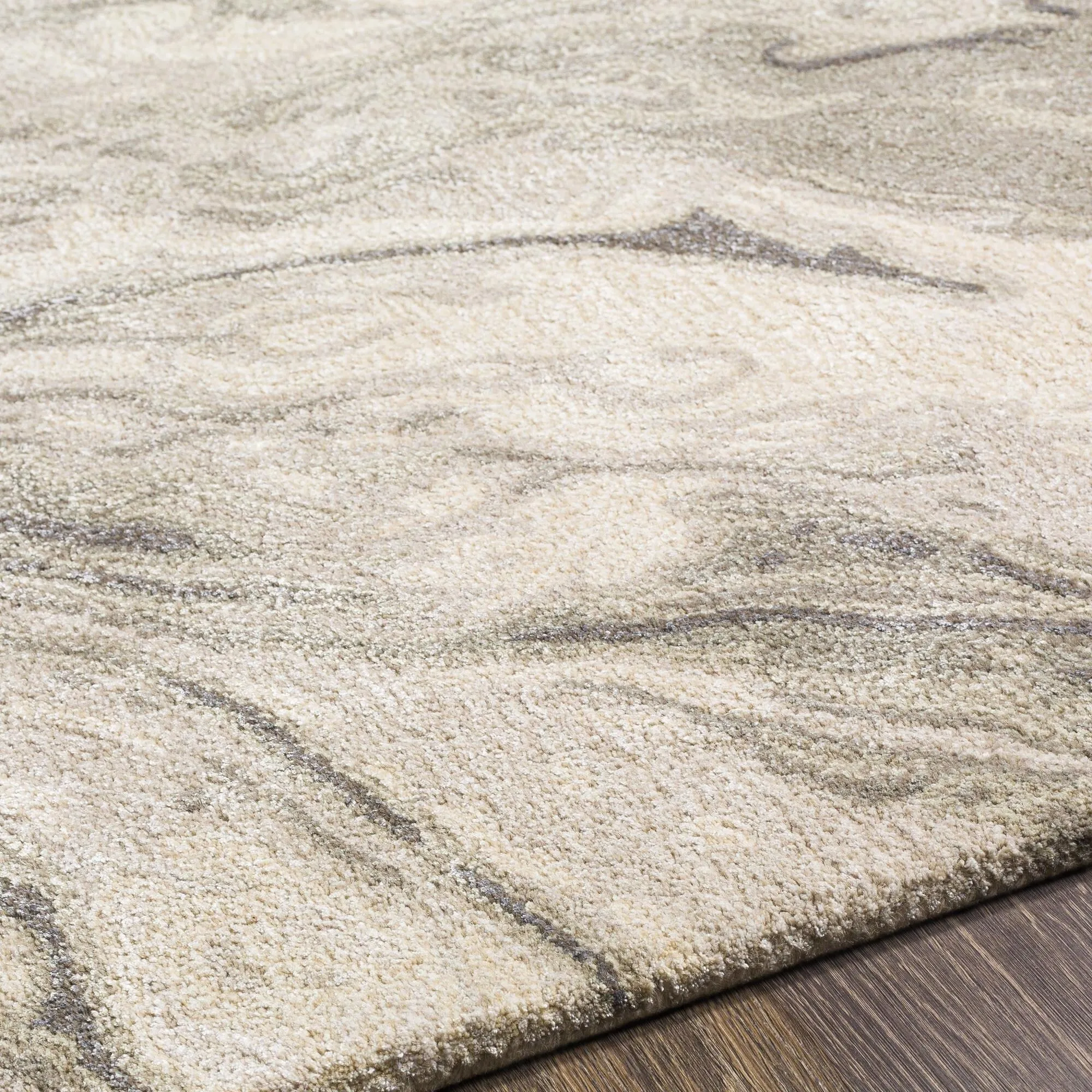 Cahbri Minimalist Abstract Hand Tufted Area Rug