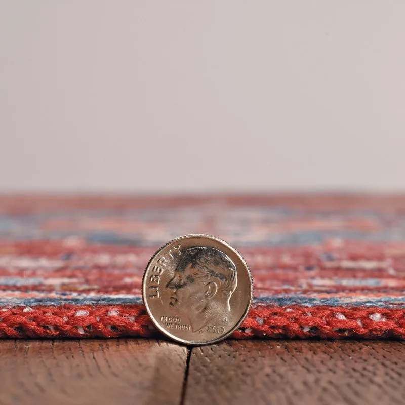 Carter Machine Washable Medallion Rust/Ivory Area Rug