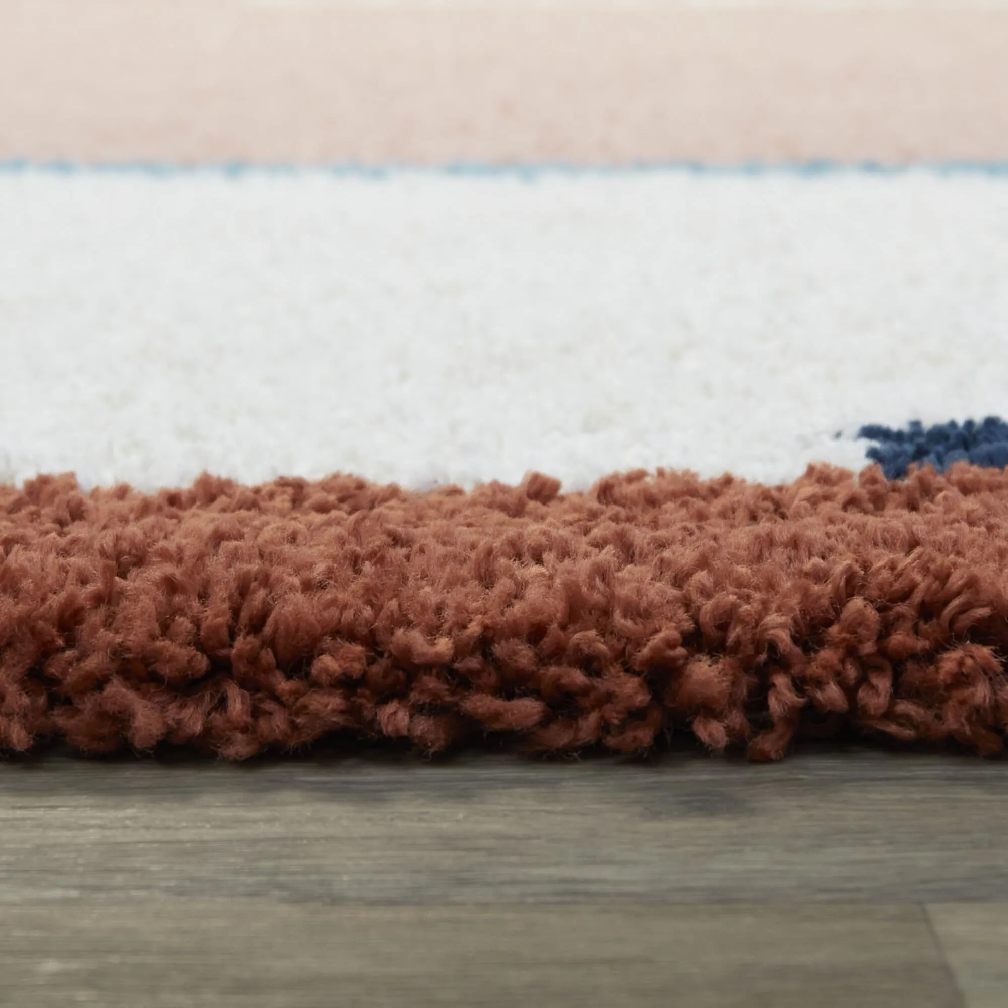 Corbet Geometric Color Blocked Shag Area Rug