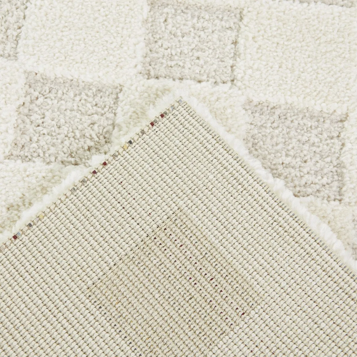 Coveney Checkered Area Rug