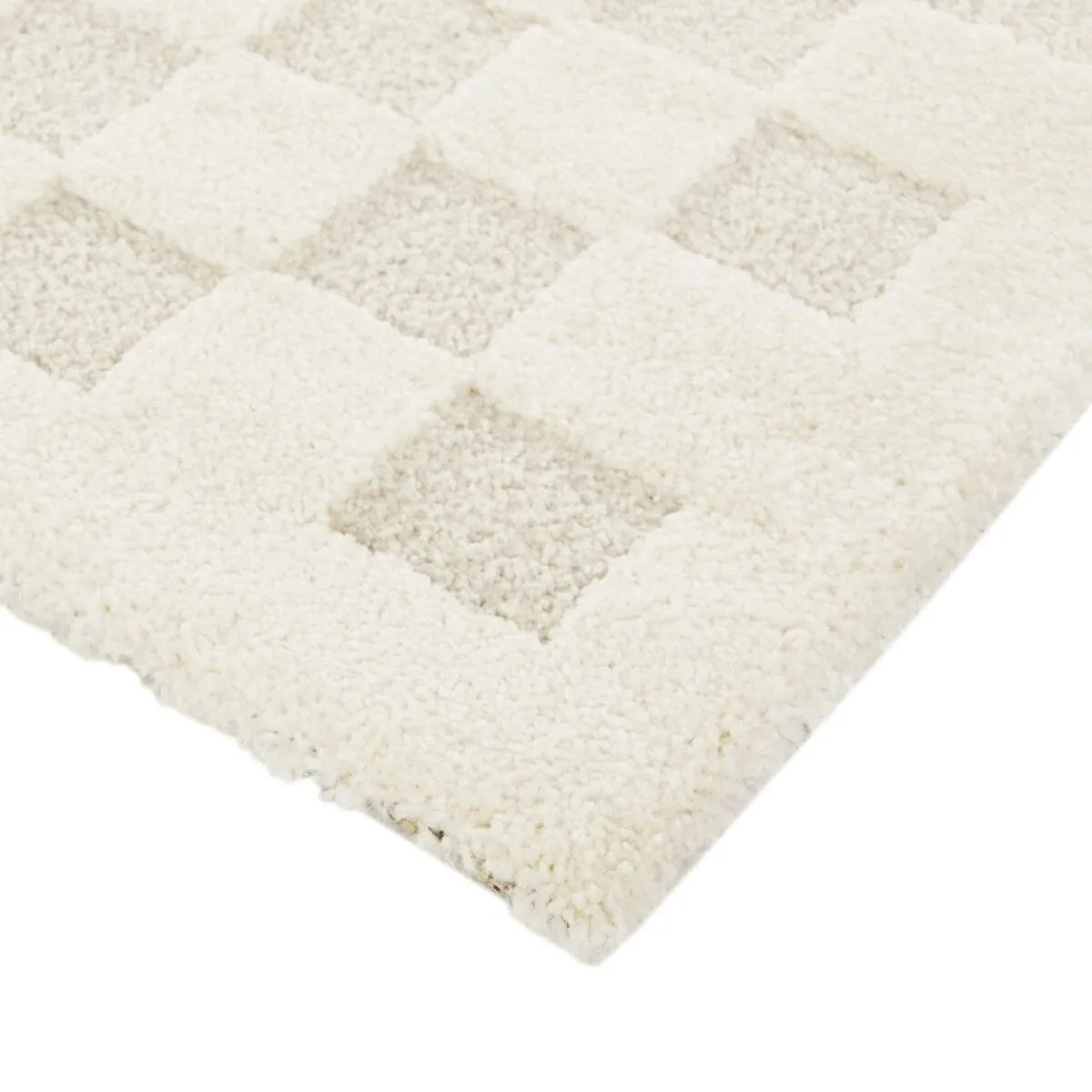 Coveney Checkered Area Rug