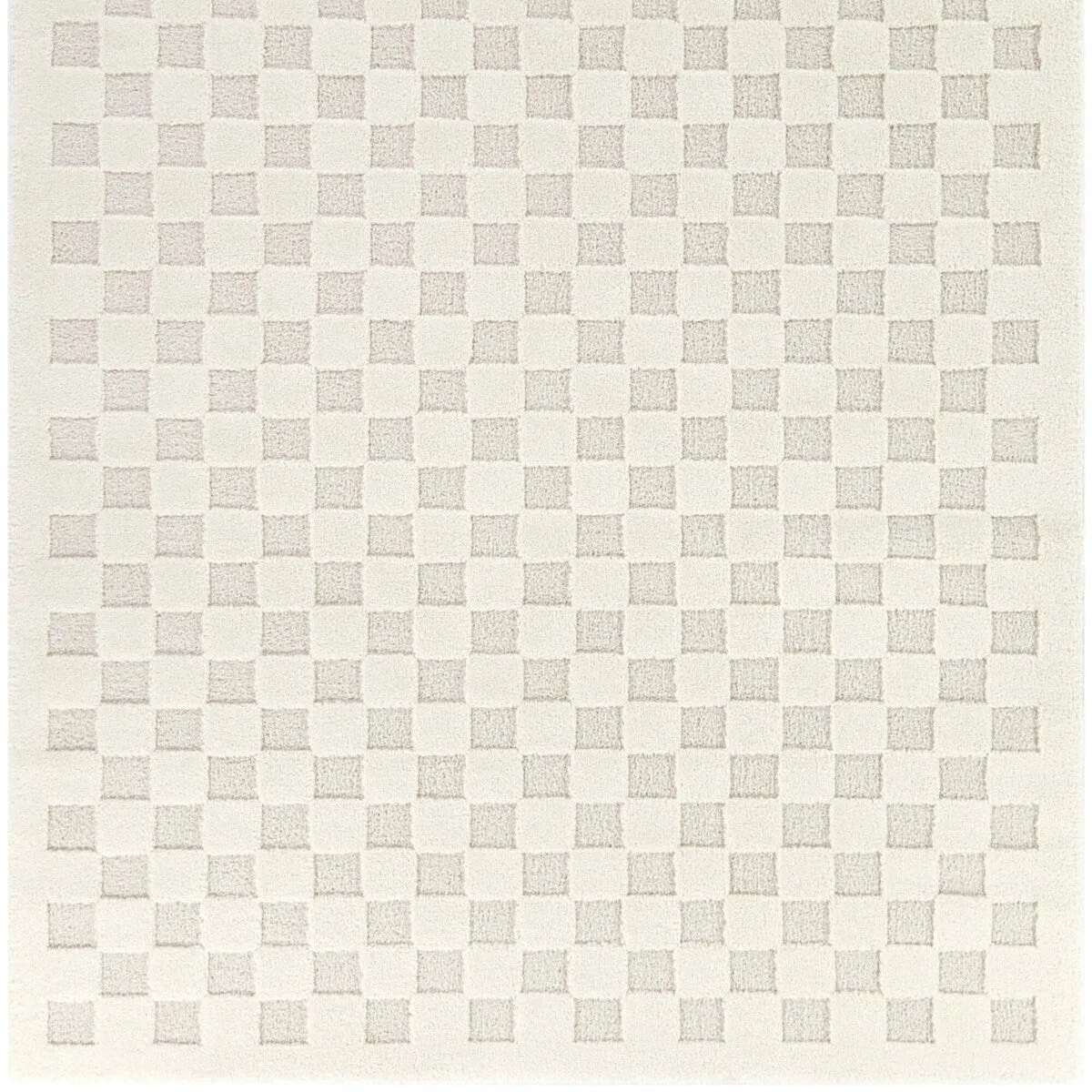 Coveney Checkered Area Rug