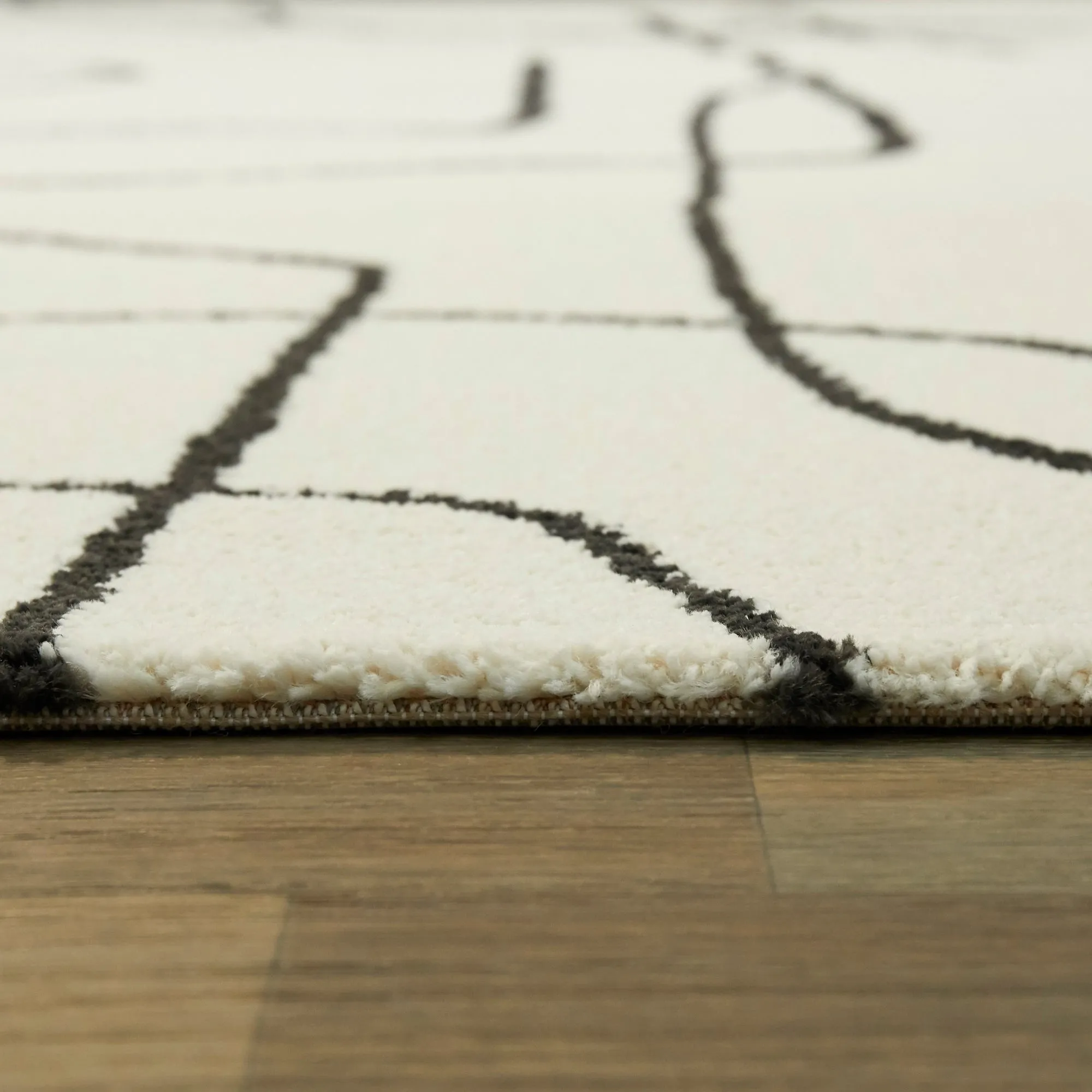 Descartes Abstract Modern Area Rug