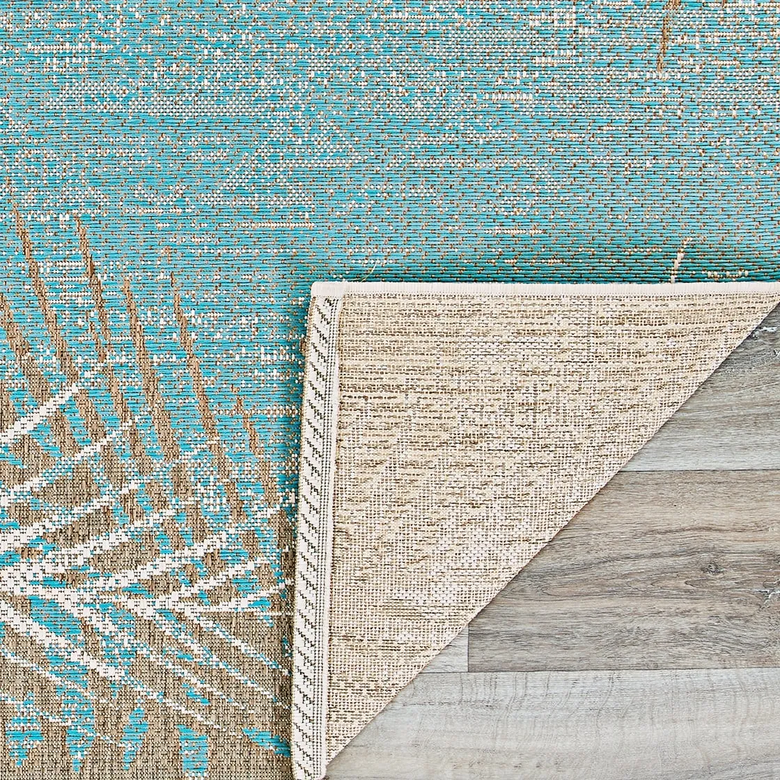 Dream Decor Rugs Samantha Coconut Creek Indoor Outdoor Area Rug