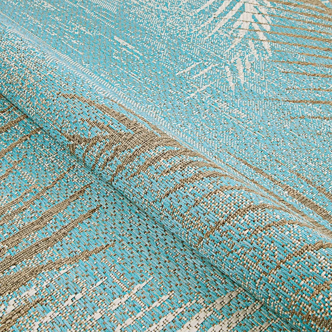 Dream Decor Rugs Samantha Coconut Creek Indoor Outdoor Area Rug