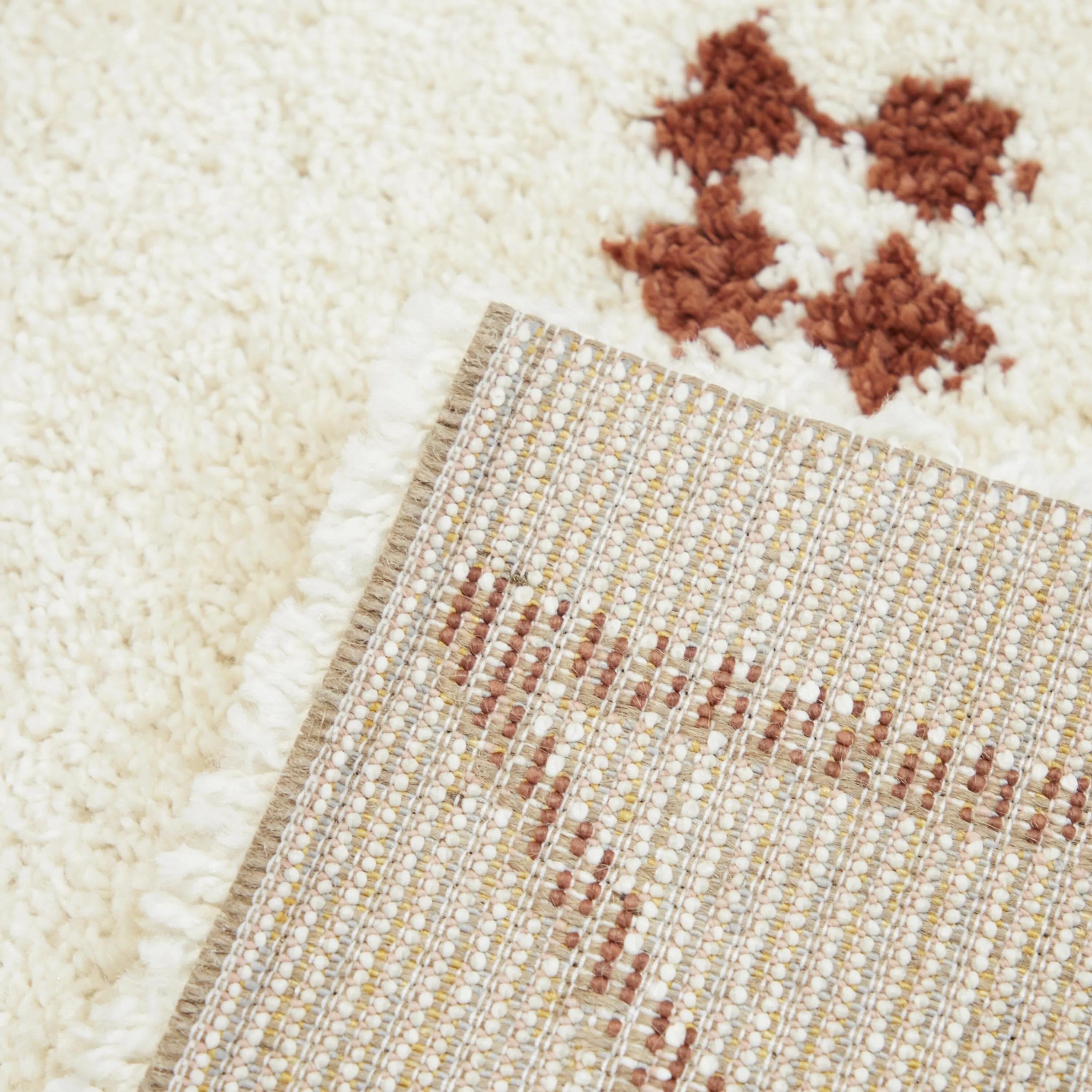 Eila Geometric Southwestern Shag Area Rug