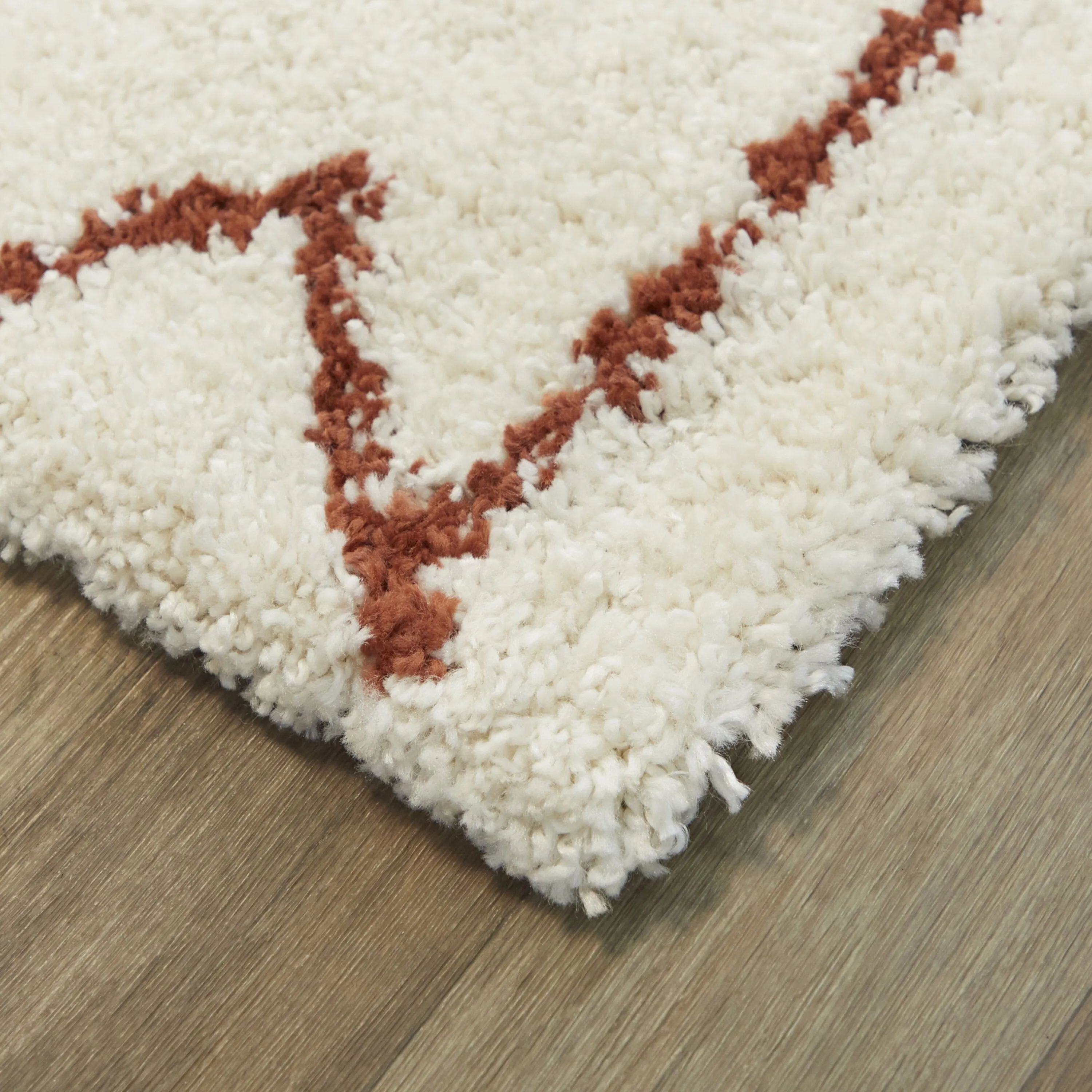 Eila Geometric Southwestern Shag Area Rug
