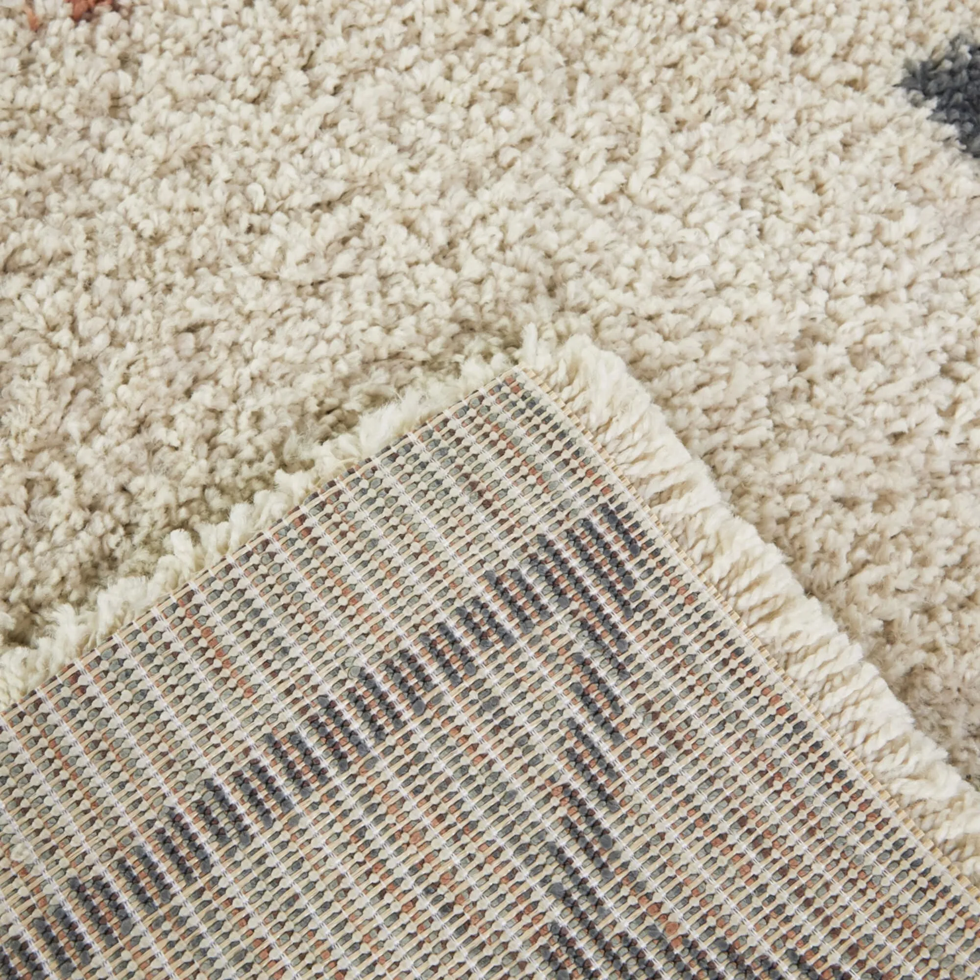 Eila Geometric Southwestern Shag Area Rug