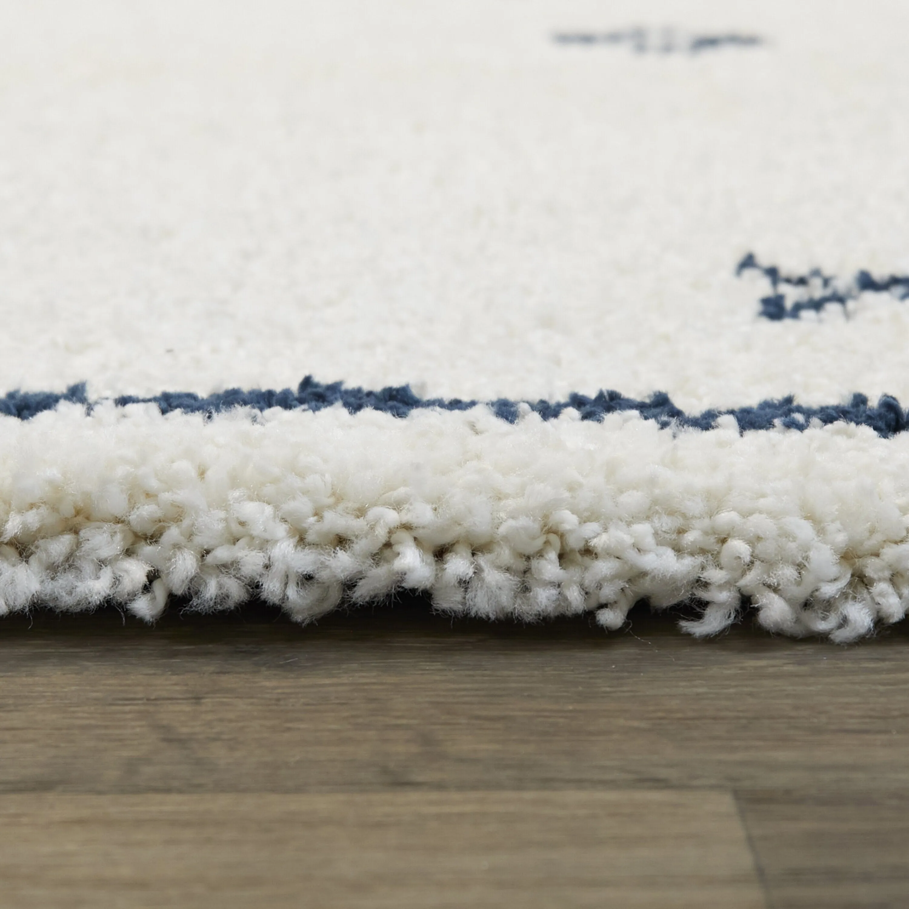 Eila Geometric Southwestern Shag Area Rug