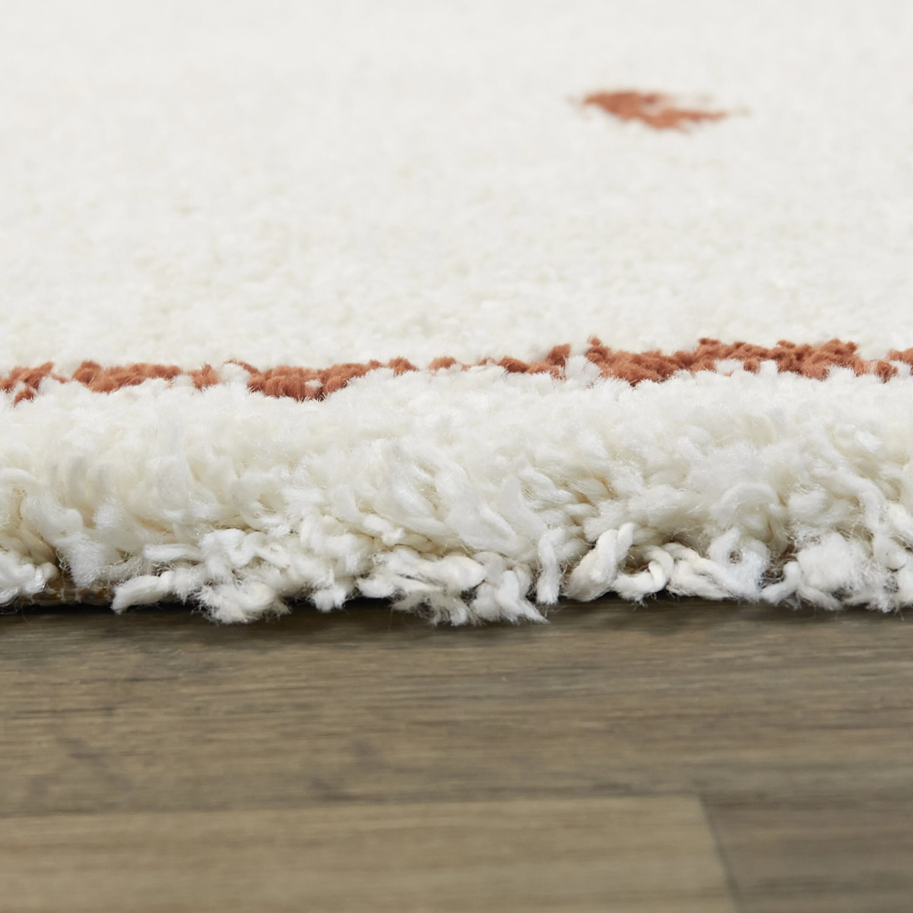 Eila Geometric Southwestern Shag Area Rug
