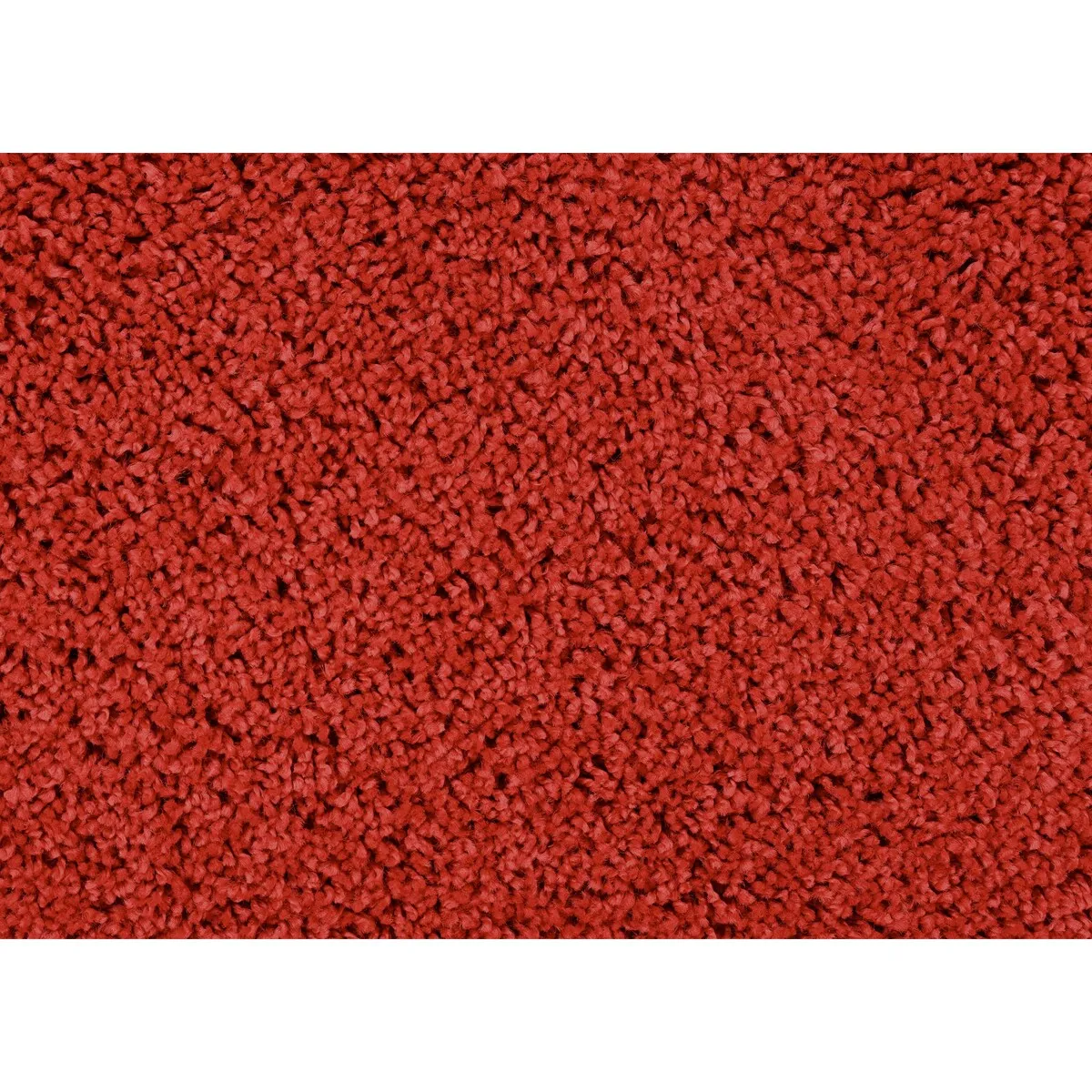 Garland Rug Skyline Shag Polypropylene Indoor Area Rug
