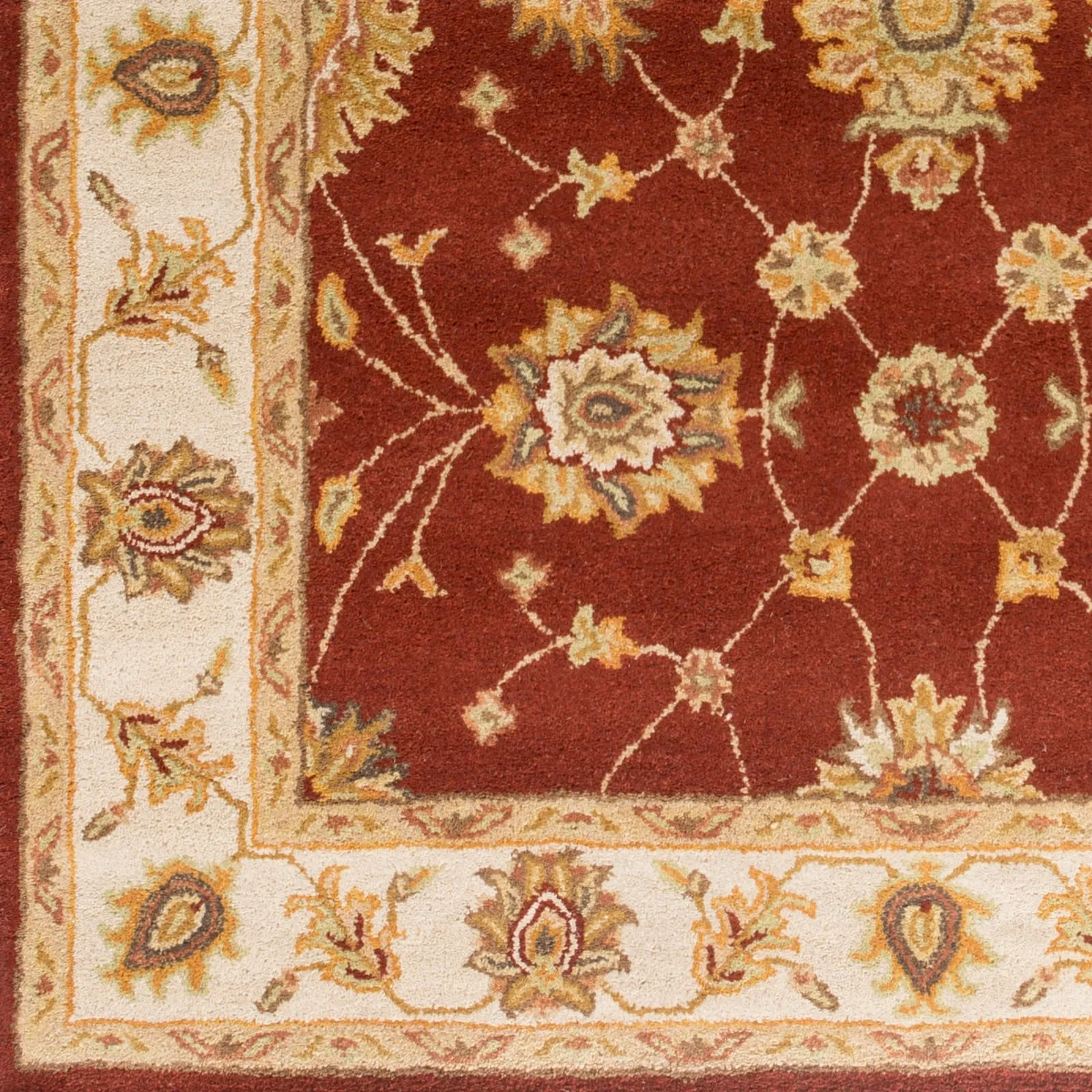 Hand-Tufted Isamu Bordered Wool Rug