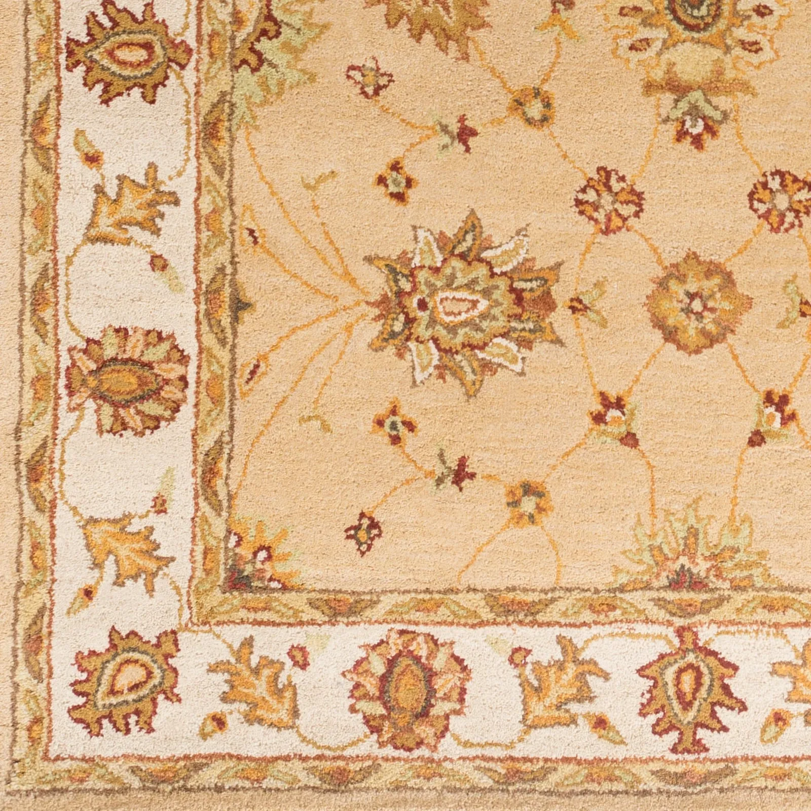 Hand-Tufted Isamu Bordered Wool Rug