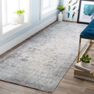 Harlan Distressed Traditional Area Rug - 3' 3 x 10'