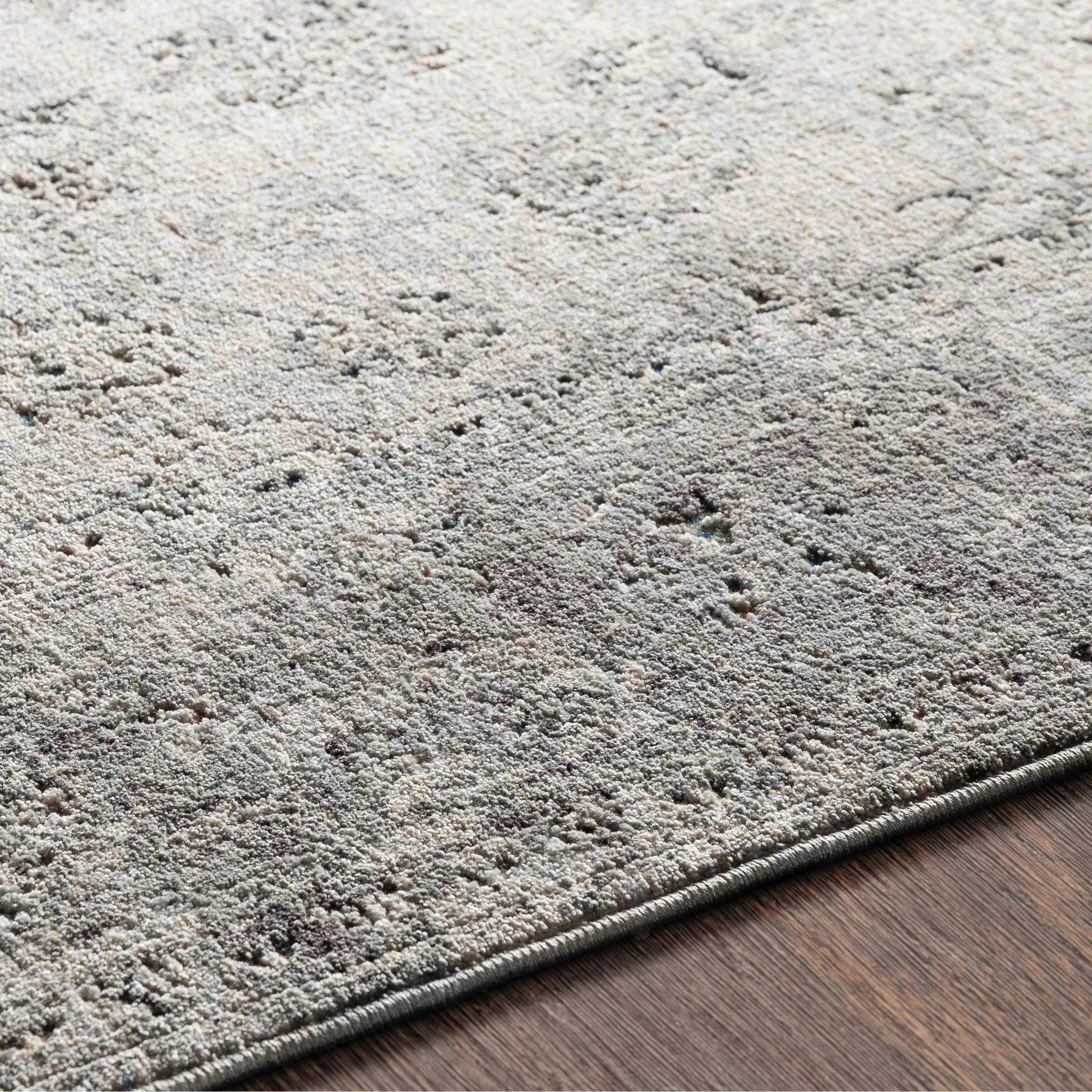Harlan Distressed Traditional Area Rug - 3' 3 x 10'