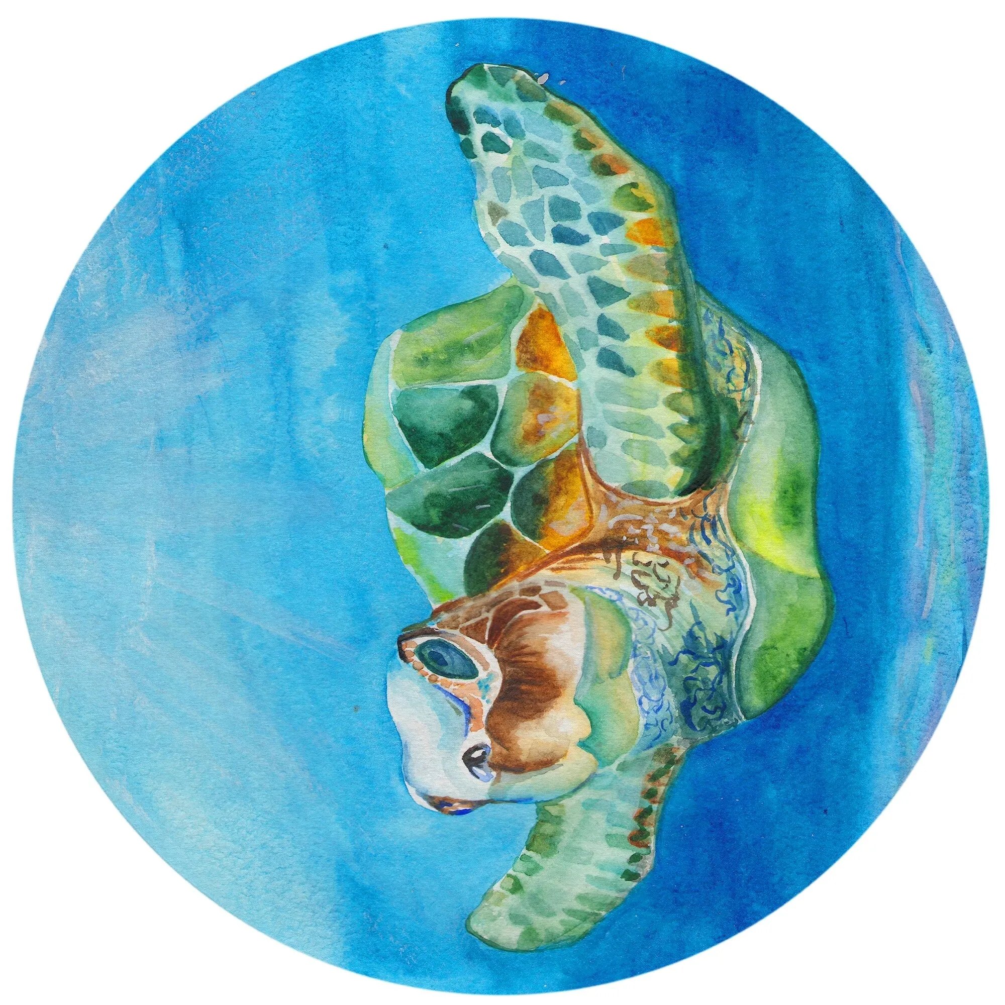 Indoor/Outdoor Harpswell Turtle Washable Rug