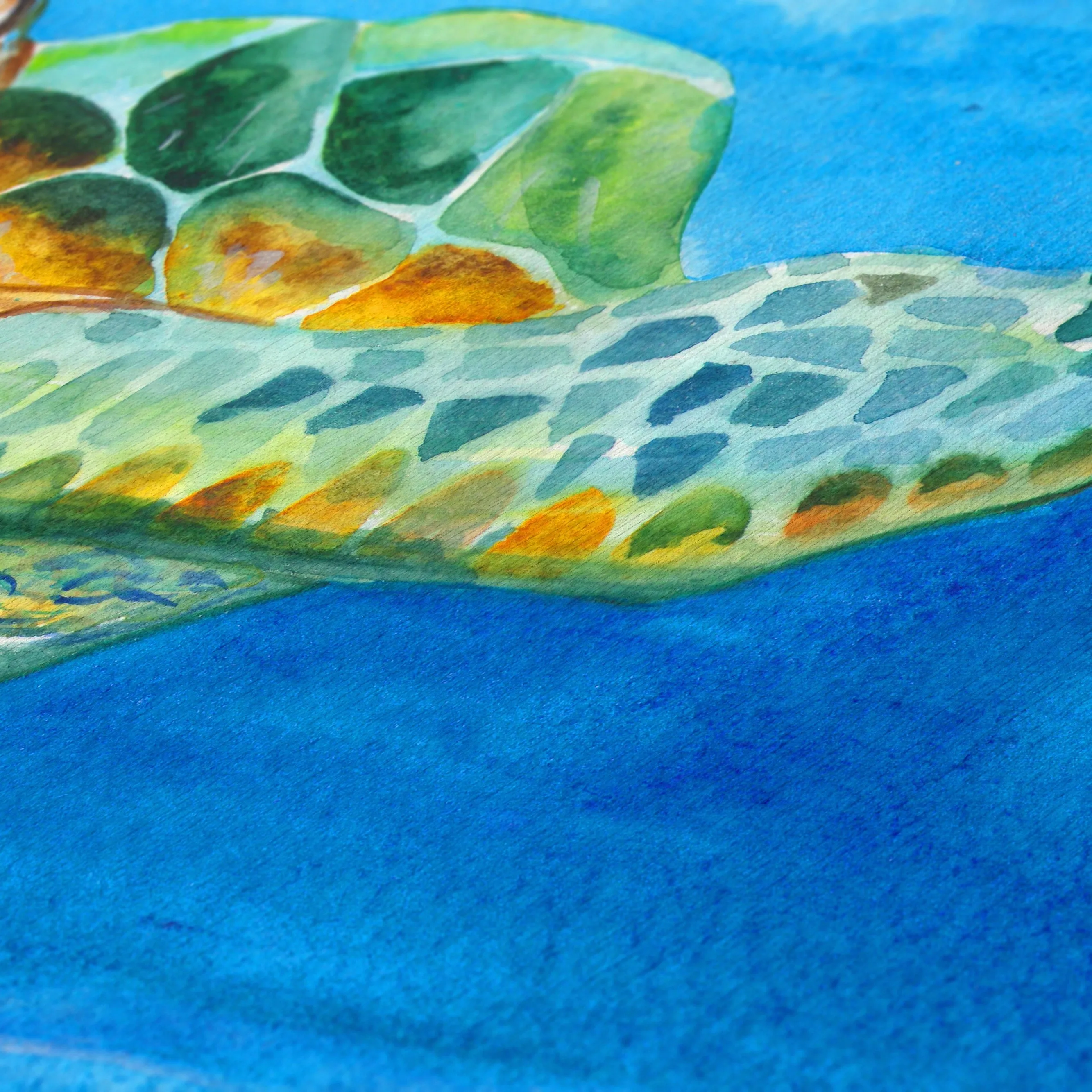 Indoor/Outdoor Harpswell Turtle Washable Rug