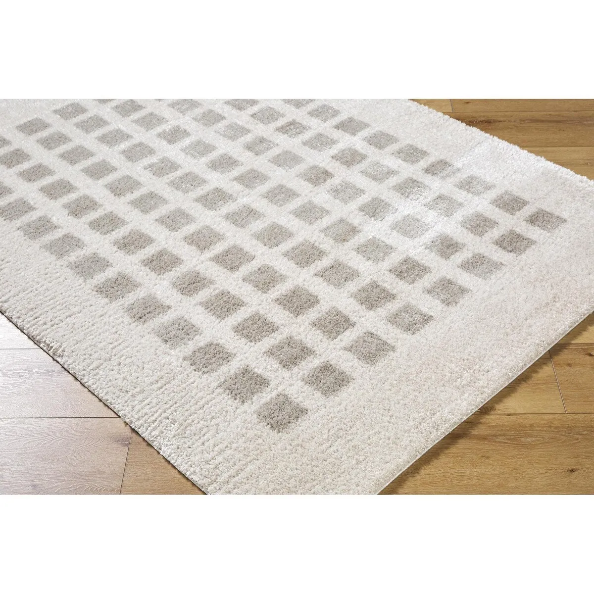 Livabliss Fossay Shag Modern & Contemporary Checkered Washable Area Rug
