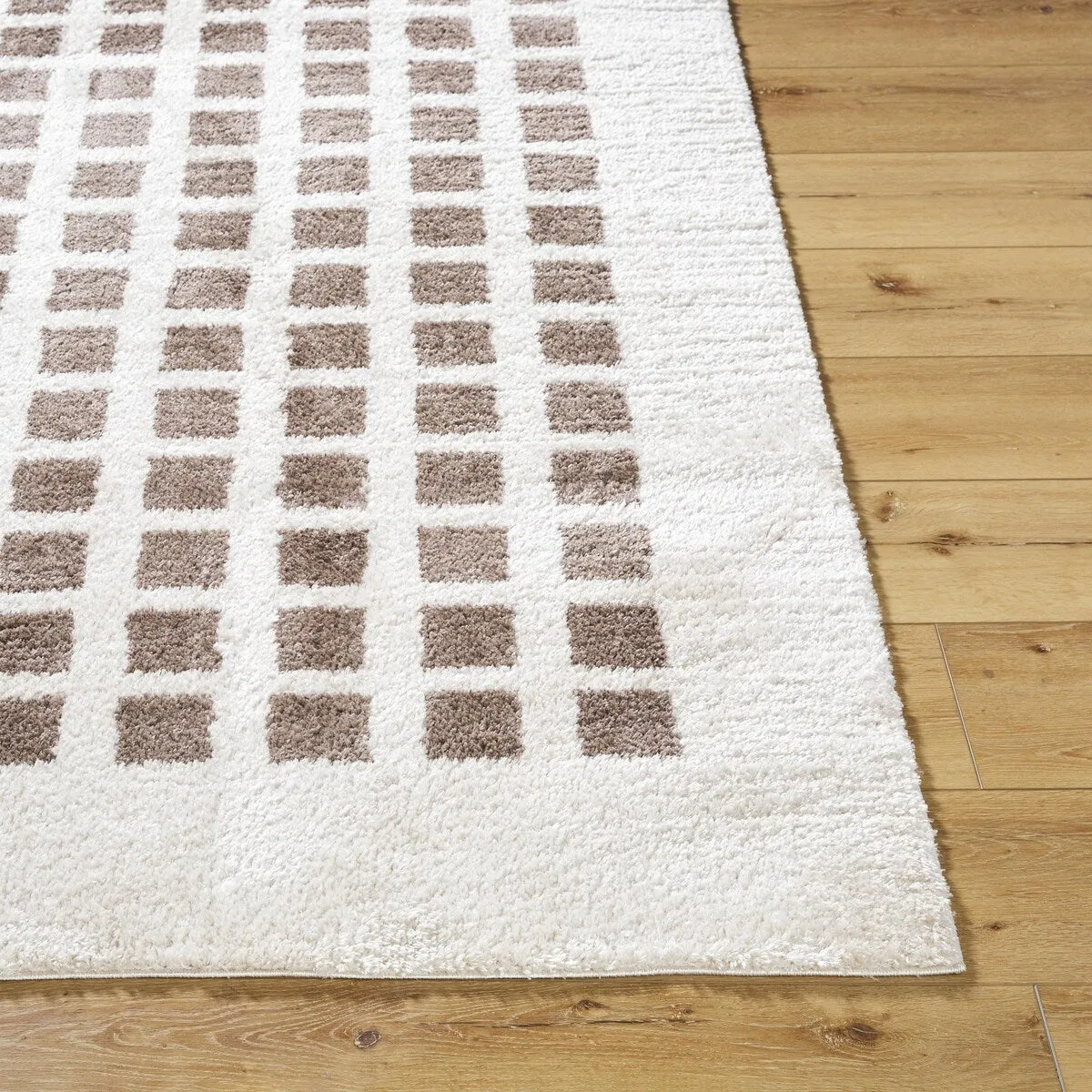 Livabliss Fossay Shag Modern & Contemporary Checkered Washable Area Rug