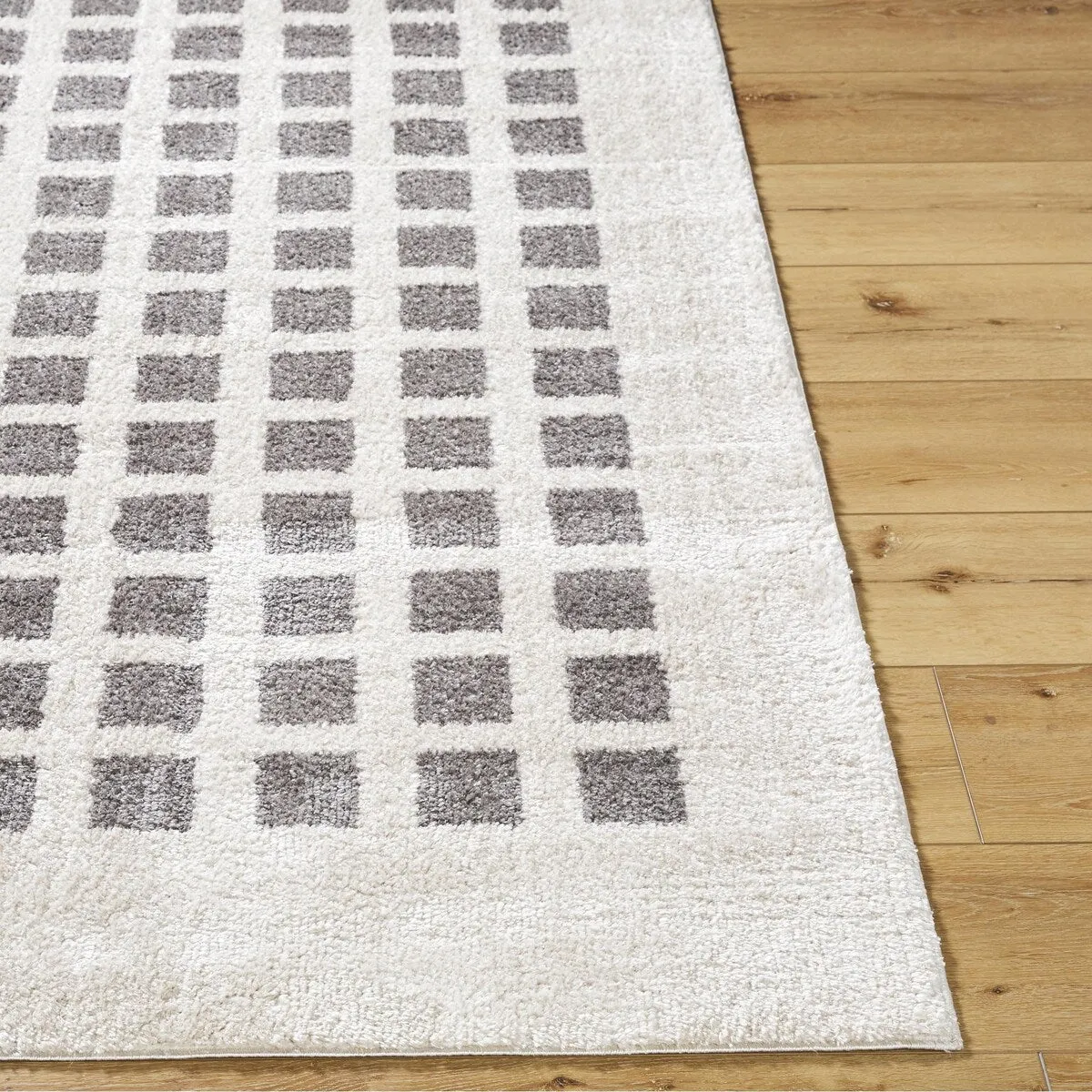 Livabliss Fossay Shag Modern & Contemporary Checkered Washable Area Rug