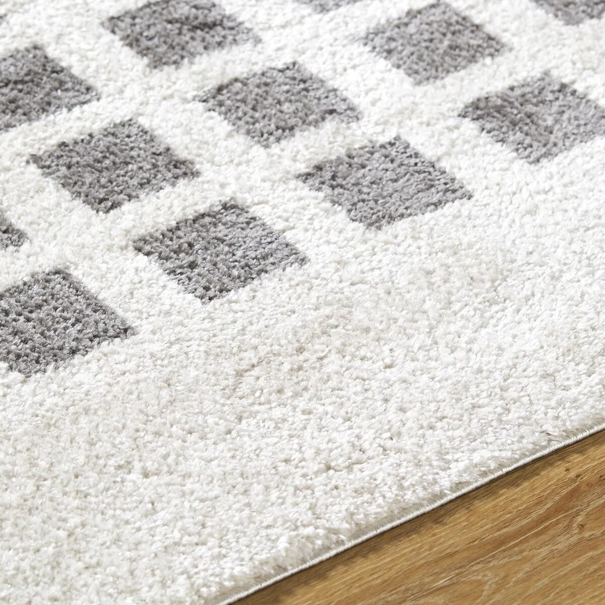 Livabliss Fossay Shag Modern & Contemporary Checkered Washable Area Rug