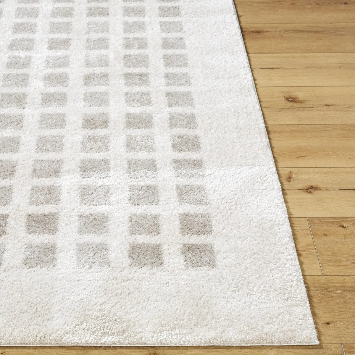 Livabliss Fossay Shag Modern & Contemporary Checkered Washable Area Rug