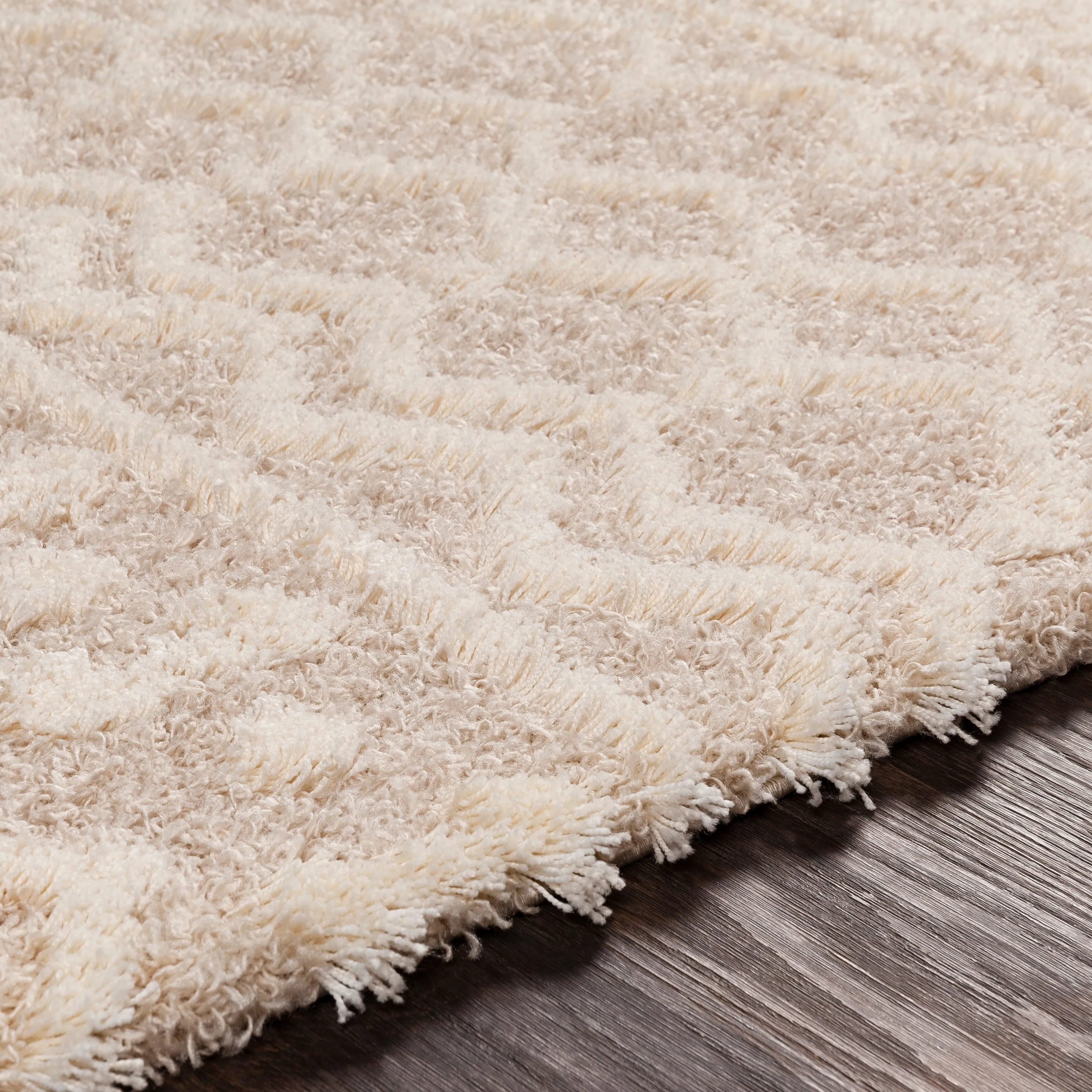 Livabliss Newton Geometric Moroccan Trellis Shag Area Rug