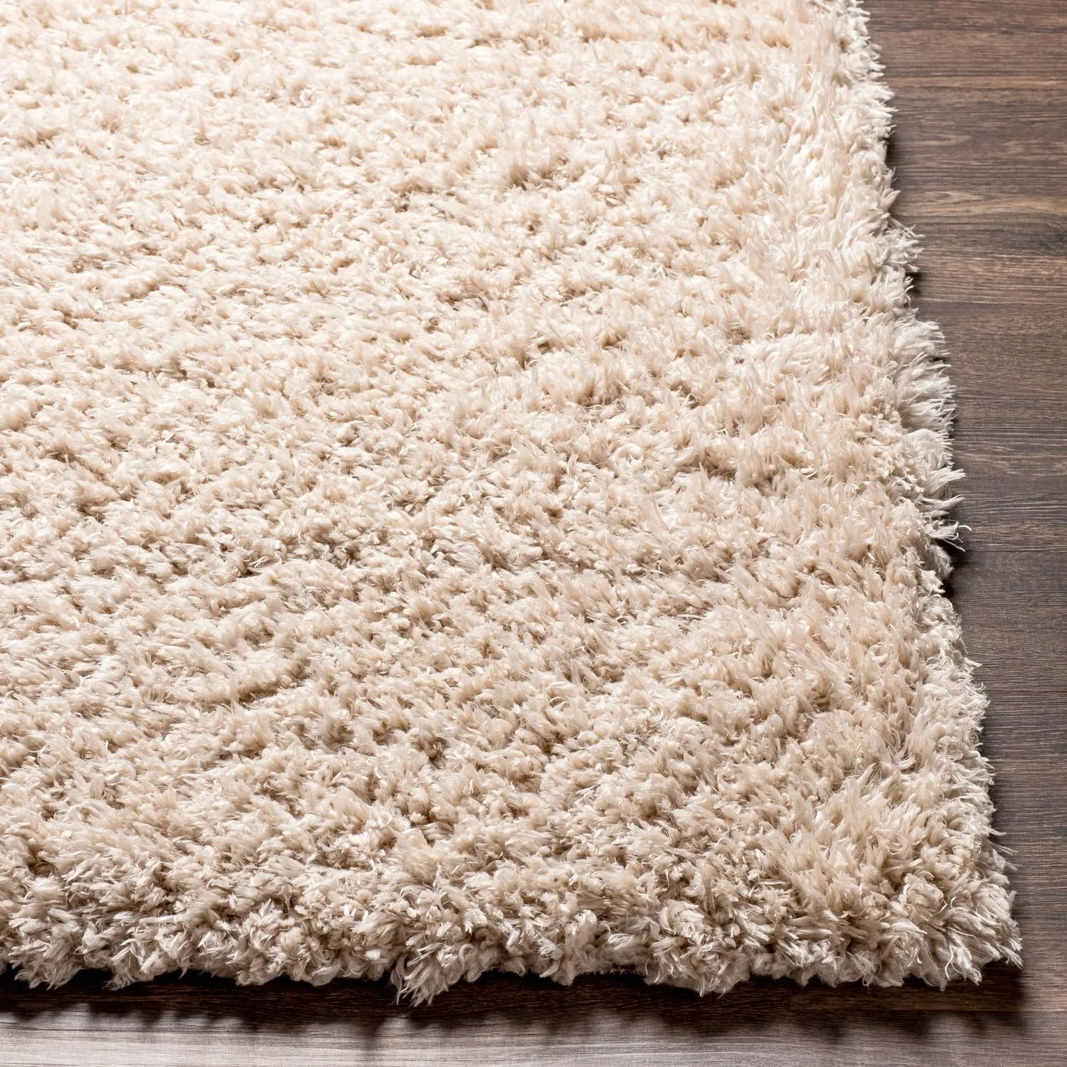 Livabliss Plush Casual Area Rug