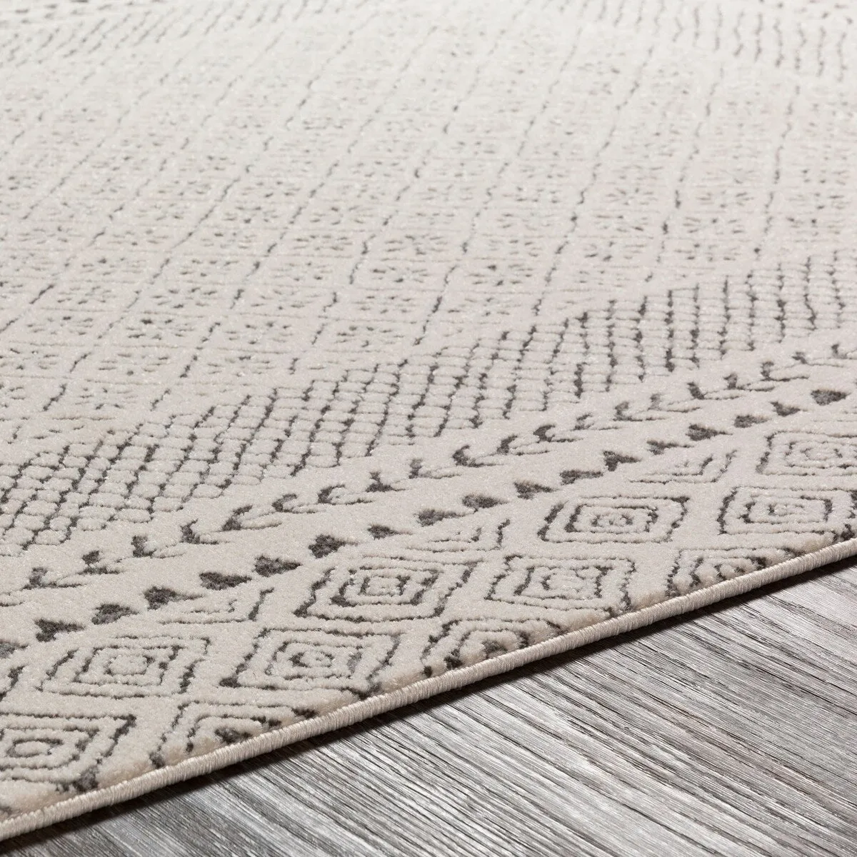 Livabliss Tiffany Grey Bohemian Border Area Rug