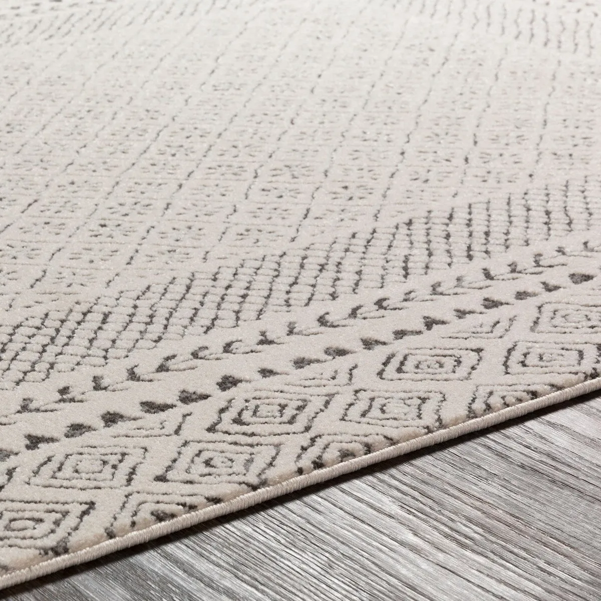 Livabliss Tiffany Grey Bohemian Border Area Rug