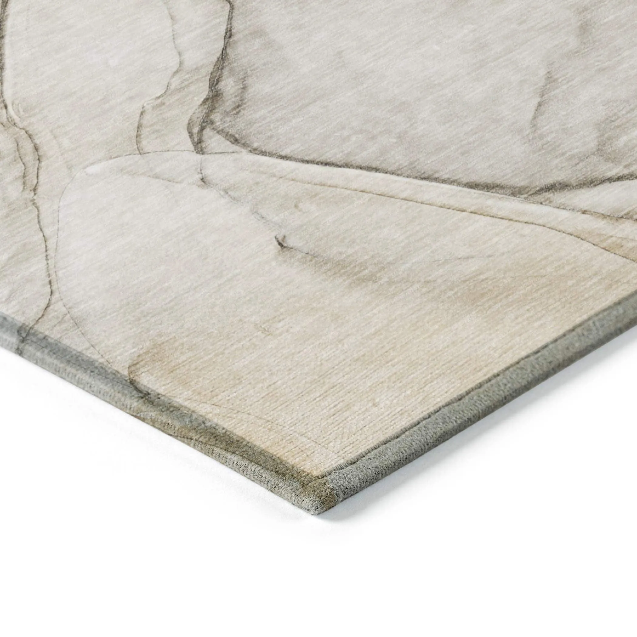 Machine Washable Indoor/ Outdoor Abstract Chantille Rug